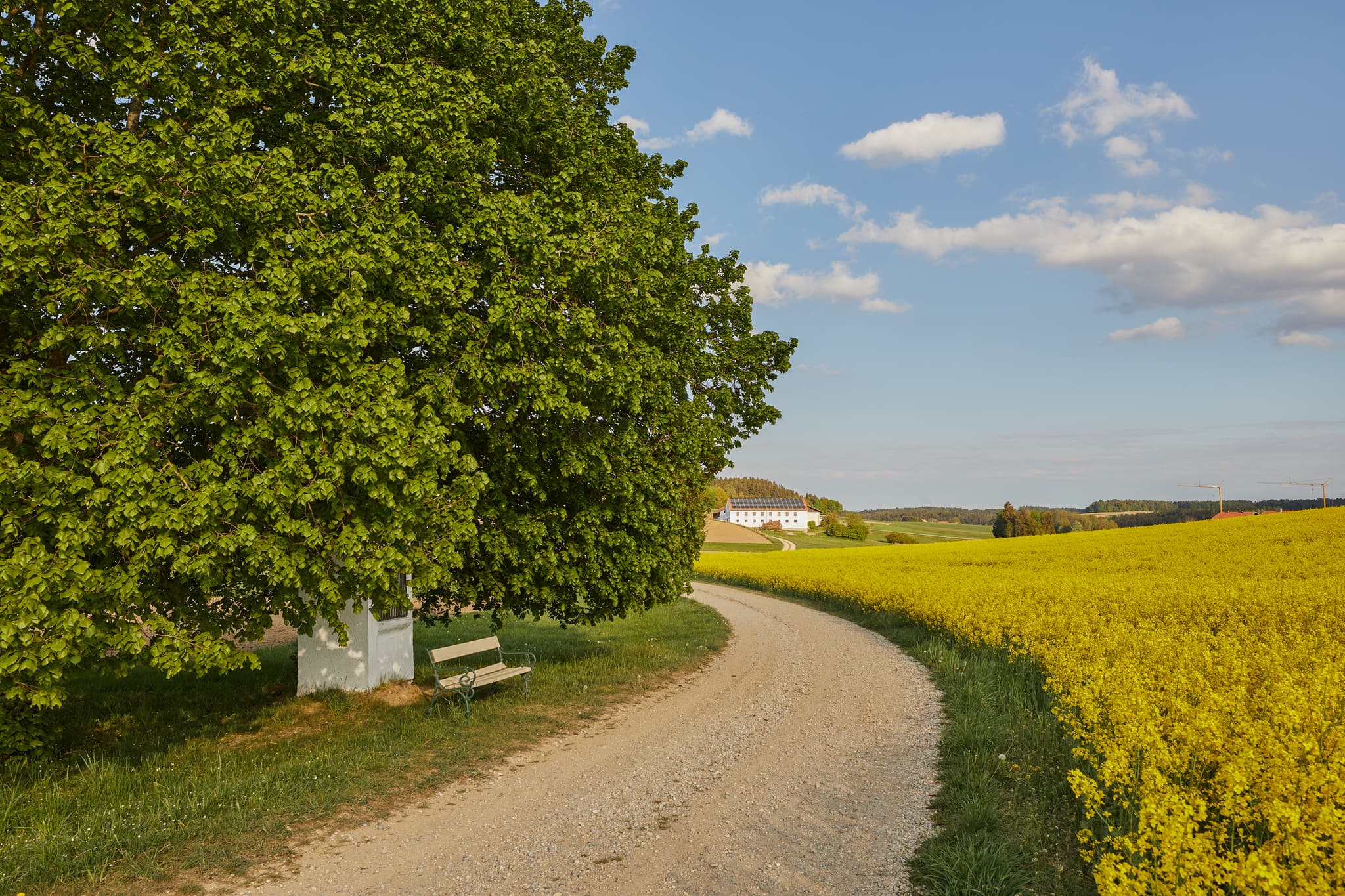 Bildstock mit Bank unter einem Baum in Erlbach, Landkreis Altötting, Oberbayern, Region Inn-Salzach, Bayern, Deutschland.