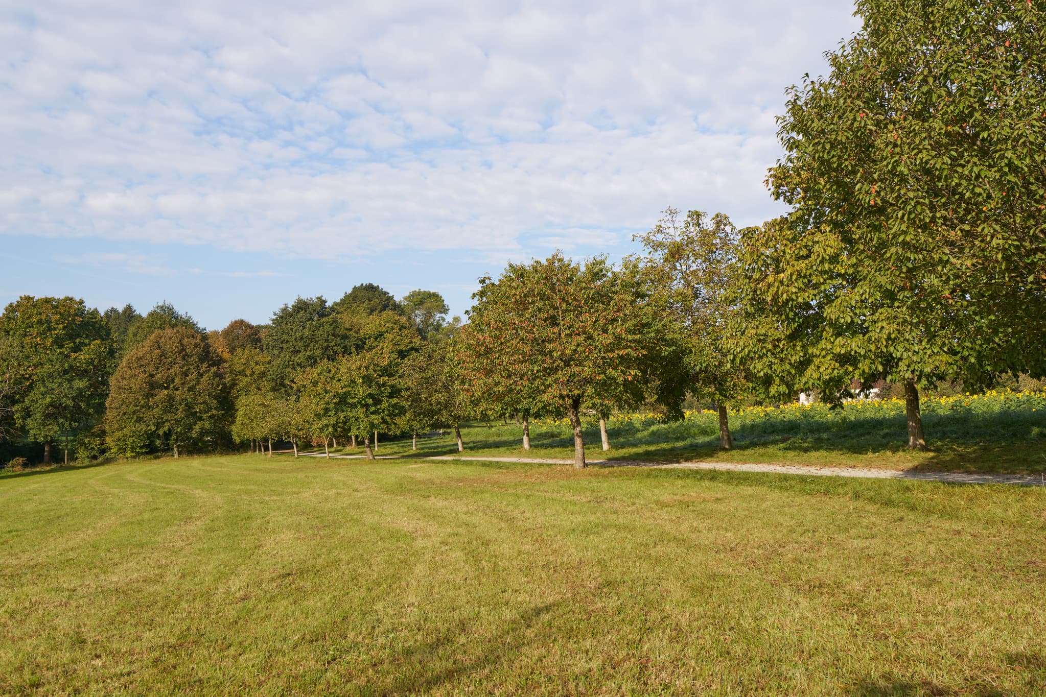 Herbstliche Ansicht des Kurparks der Therme in Bad Griesbach im Rottal, Landkreis Passau, Niederbayern, Deutschland. Eine idyllische Landschaft.