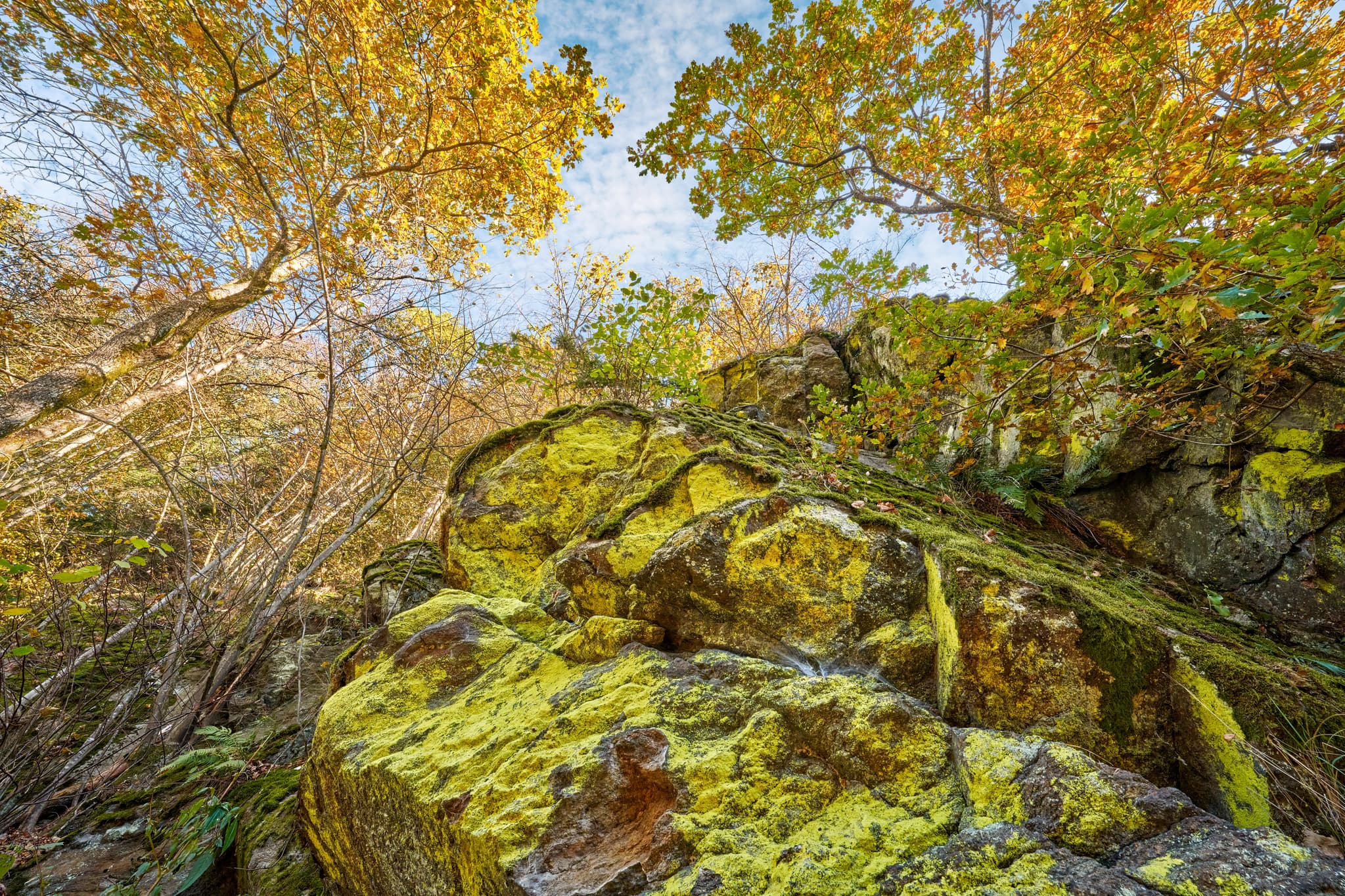 Herbstliche Bäume und moosbewachsene Felsen prägen die Landschaft in Gumpenried-Asbach, Geiersthal, Landkreis Regen, Niederbayern, Bayerischer Wald.