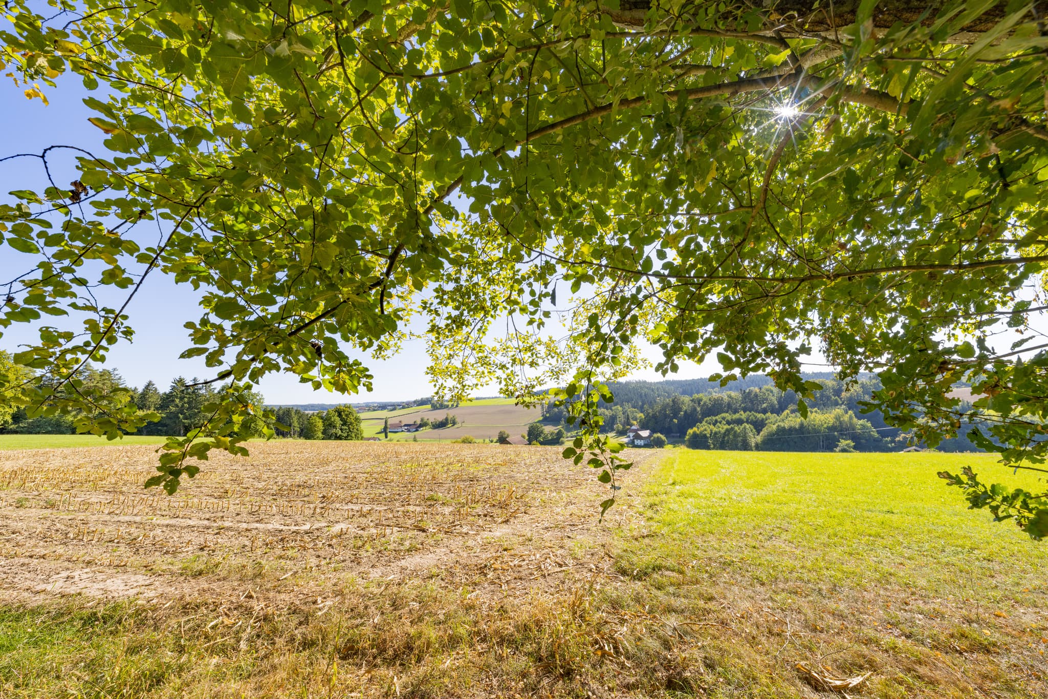 Aussicht nach Apfelbach, Felder und Hügel bei Guteneck, Johanniskirchen nach Lapperding, Rottal-Inn, Niederbayern, Deutschland, Region Holzland.