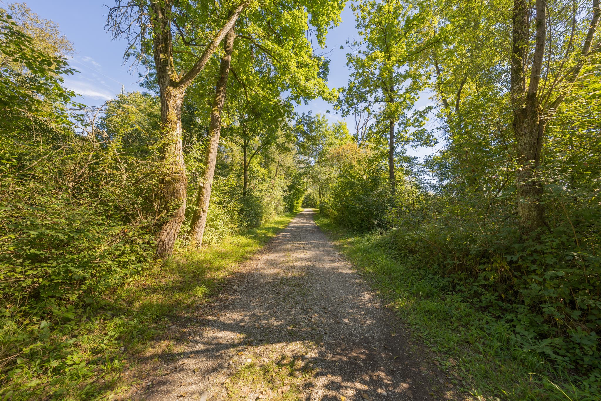 Waldweg in Kirchdorf am Inn, Landkreis Rottal-Inn, Niederbayern. Die Landschaft im Holzland, Deutschland, führt um den Waldsee, Badesee Simbach.