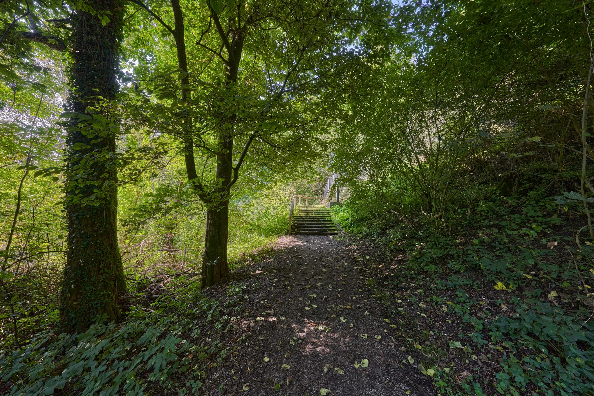 Waldweg mit Treppe am Klostersteig in Raitenhaslach, Gemeinde Burghausen, Landkreis Altötting, Oberbayern, Region Inn-Salzach, Bayern, Deutschland.