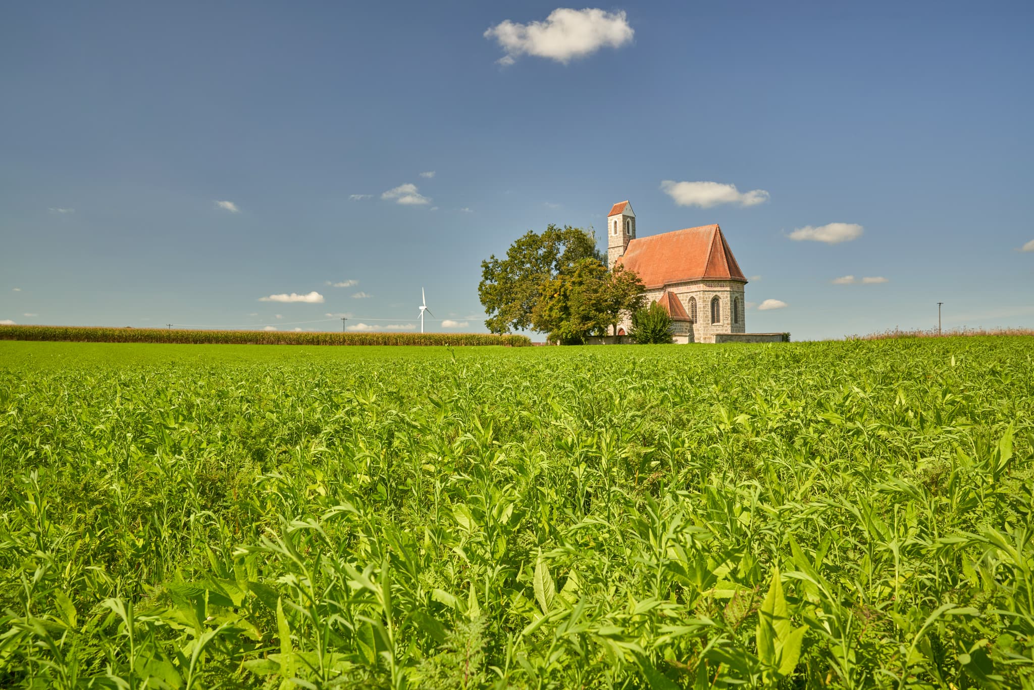 Kirche St. Alban, Peterskirchen, Tacherting, Landkreis Traunstein, Oberbayern. Motiv der Kirche umgeben von Feldern im Chiemgau, Deutschland.