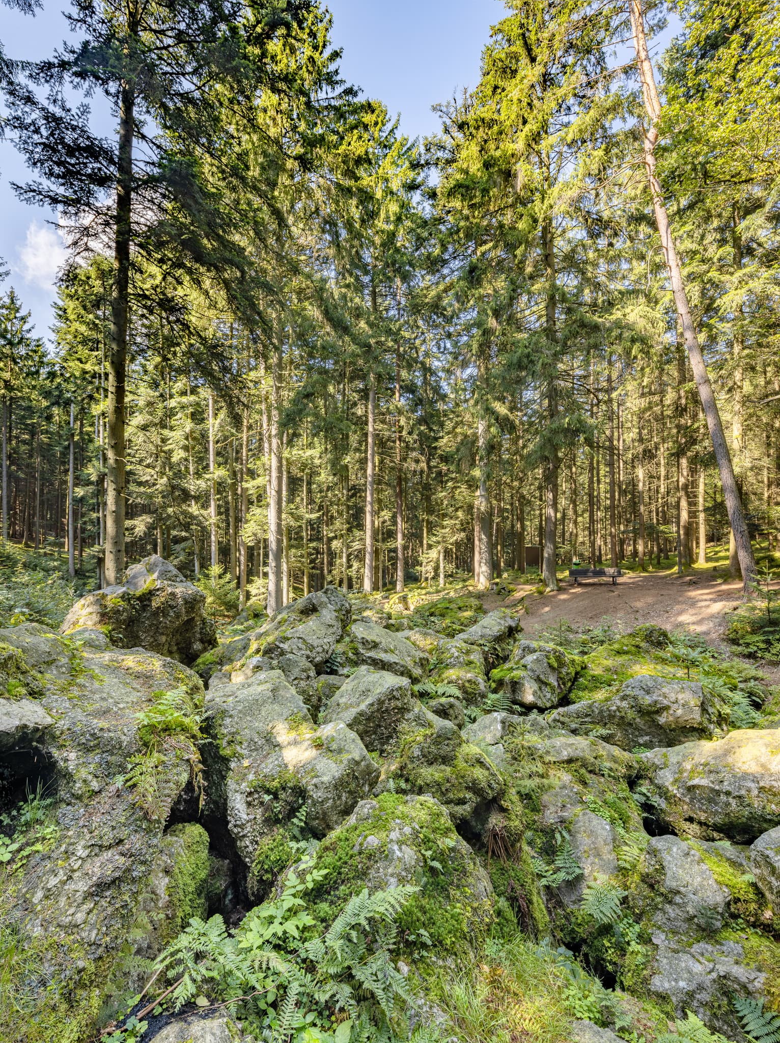 Geotop im Waldgebiet mit großen Geröll-Steinen aus der Eiszeit in Voglarn bei Triftern, Rottal-Inn, Niederbayern, Holzland, Bäderdreieck, Deutschland.