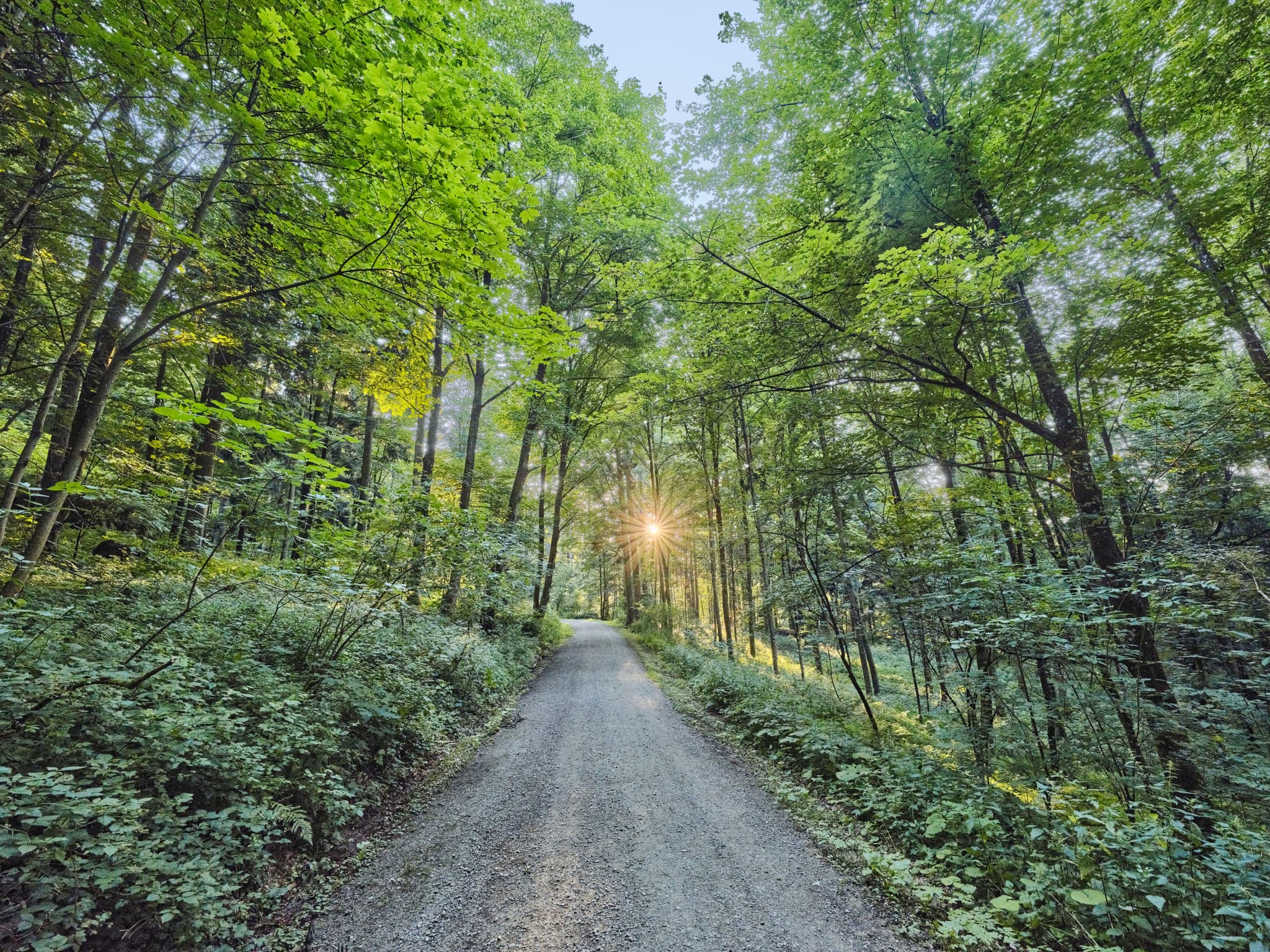 Wanderweg der Waldwunderwelt in Bad Griesbach, Landkreis Passau, Niederbayern, Bayern. Das Bild zeigt einen Waldweg mit mystischen Steinen.