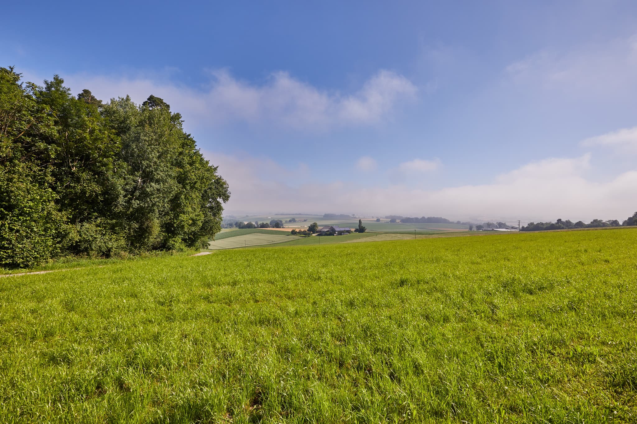 Landschaftsaufnahme von Glatzberg Aussicht in Heldenstein, Mühldorf am Inn, Oberbayern. Felder und Bäume prägen die Inn-Salzach Region in Deutschland.