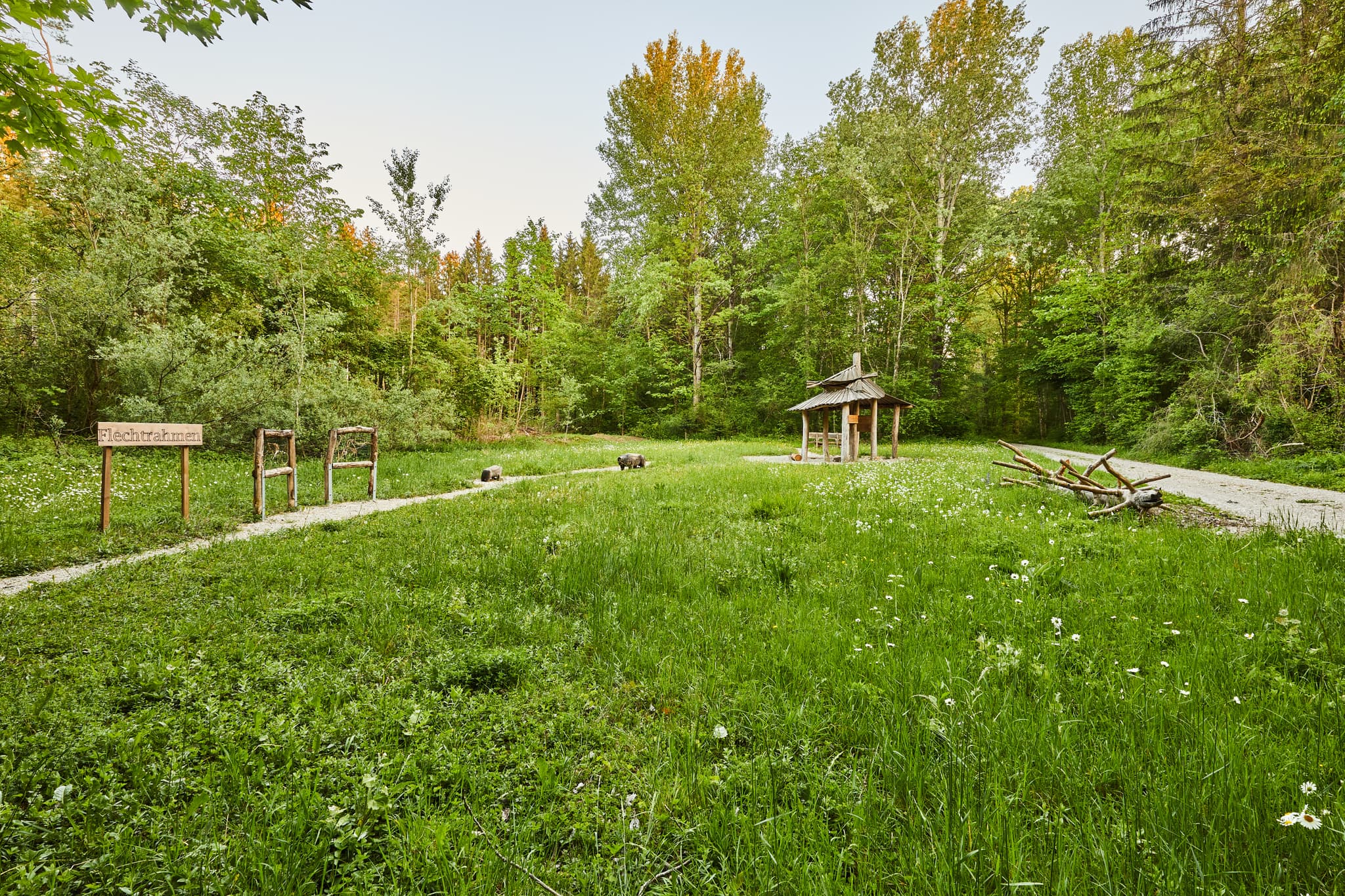 Walderlebnispfad Alz Au in Klosterau, Gemeinde Mehring. Eine grüne Wiese mit Bäumen und Pavillon im Landkreis Altötting, Oberbayern, Inn-Salzach, Deutschland.