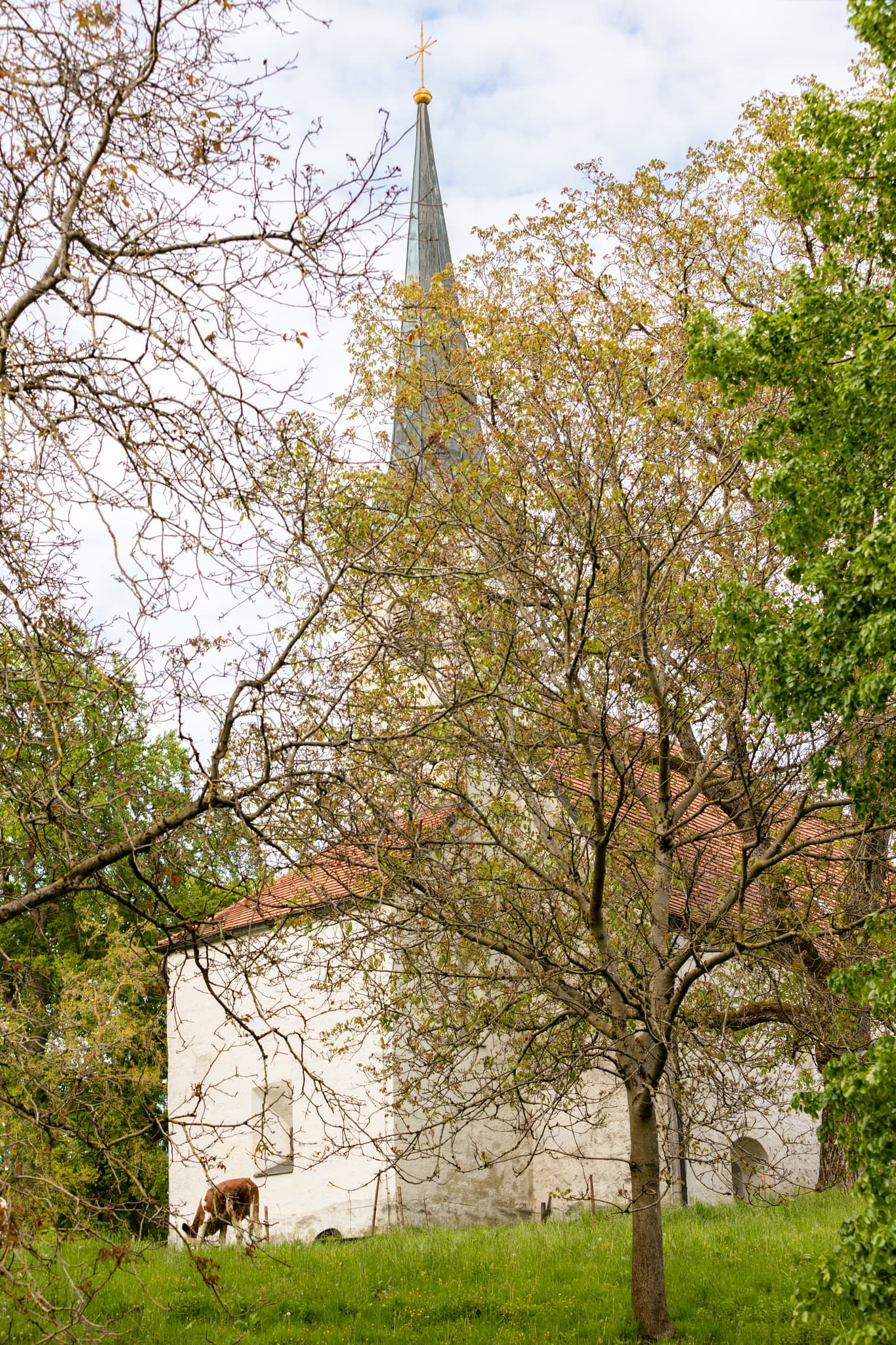 Kapelle Limberg am Todeiskesselweg Nr. 11 bei Haag, Mühldorf am Inn, Oberbayern. Inn-Salzach, Deutschland, mit weidendem Rind auf Wiese, umgeben Bäumen.