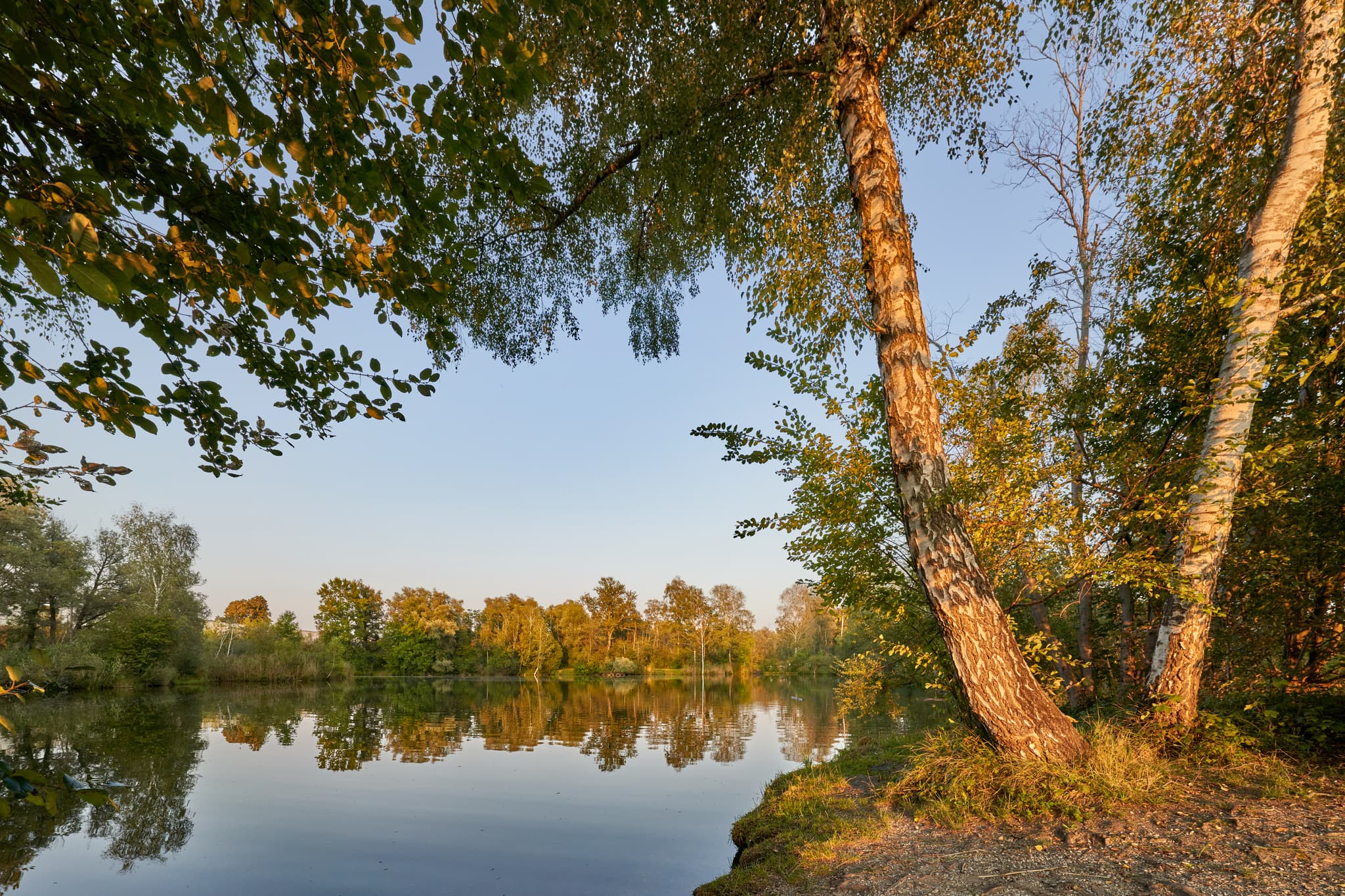 Der Baggerweiher in Unterau Moll-Lacke, Winhöring, Altötting, Oberbayern, Deutschland. Ruhiges Gewässer mit Uferbäumen, Region Inn-Salzach.