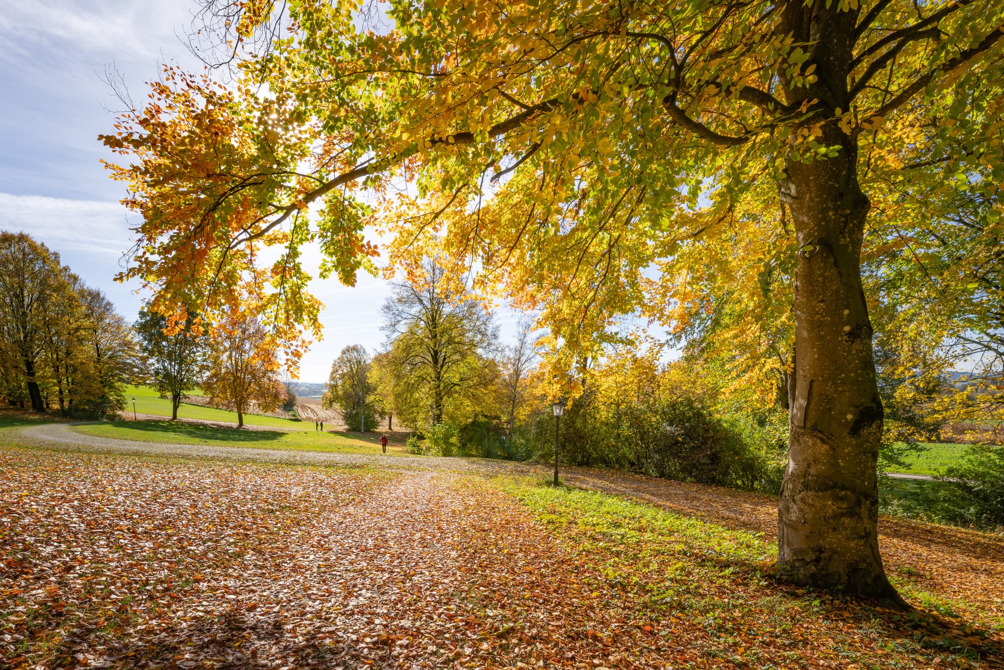 Goldener Herbst im malerischen Kurpark Bad Griesbach im Rottal, Landkreis Passau, Niederbayern, Deutschland. Einladende Wege inmitten bunter Laubwälder.