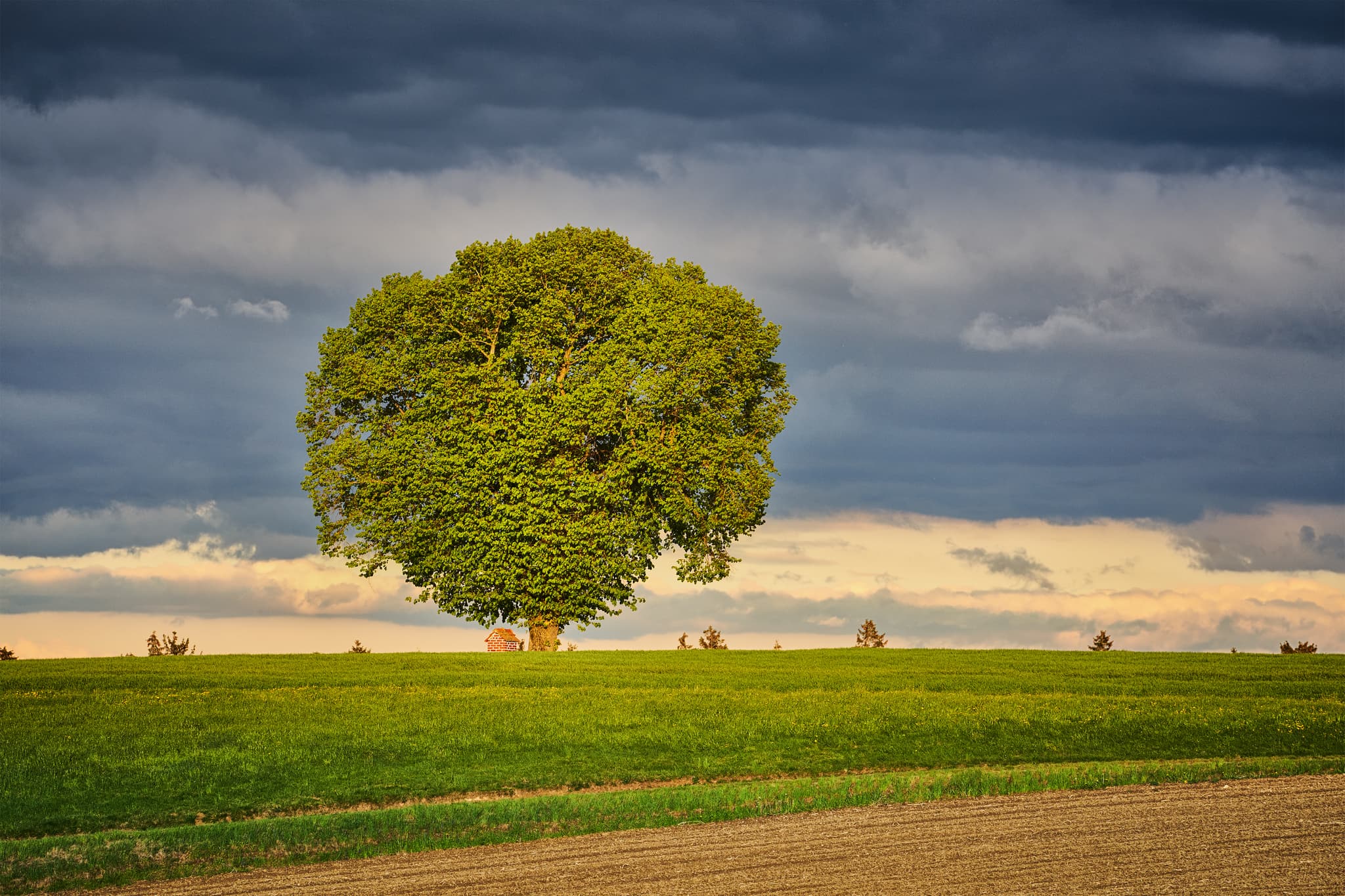 Einzelner Baum und Bildstock auf einem Feld bei Wald bei Winhöring, Pleiskirchen, Landkreis Altötting, Oberbayern, Inn-Salzach, Deutschland.