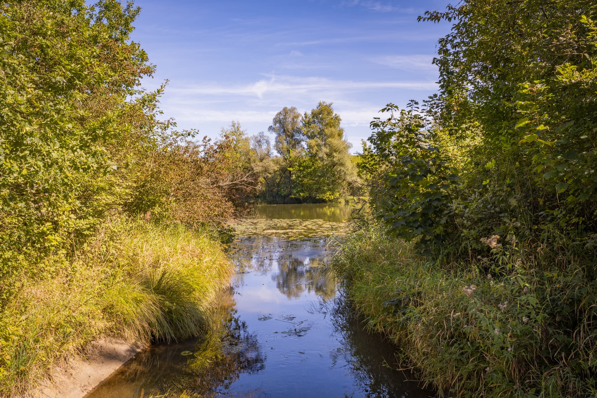 Bachlauf umgeben von dichter grüner Vegetation und Bäumen. Naturlandschaft am Waldsee Lago bei Kirchdorf am Inn, Rottal-Inn, Niederbayern, Deutschland.