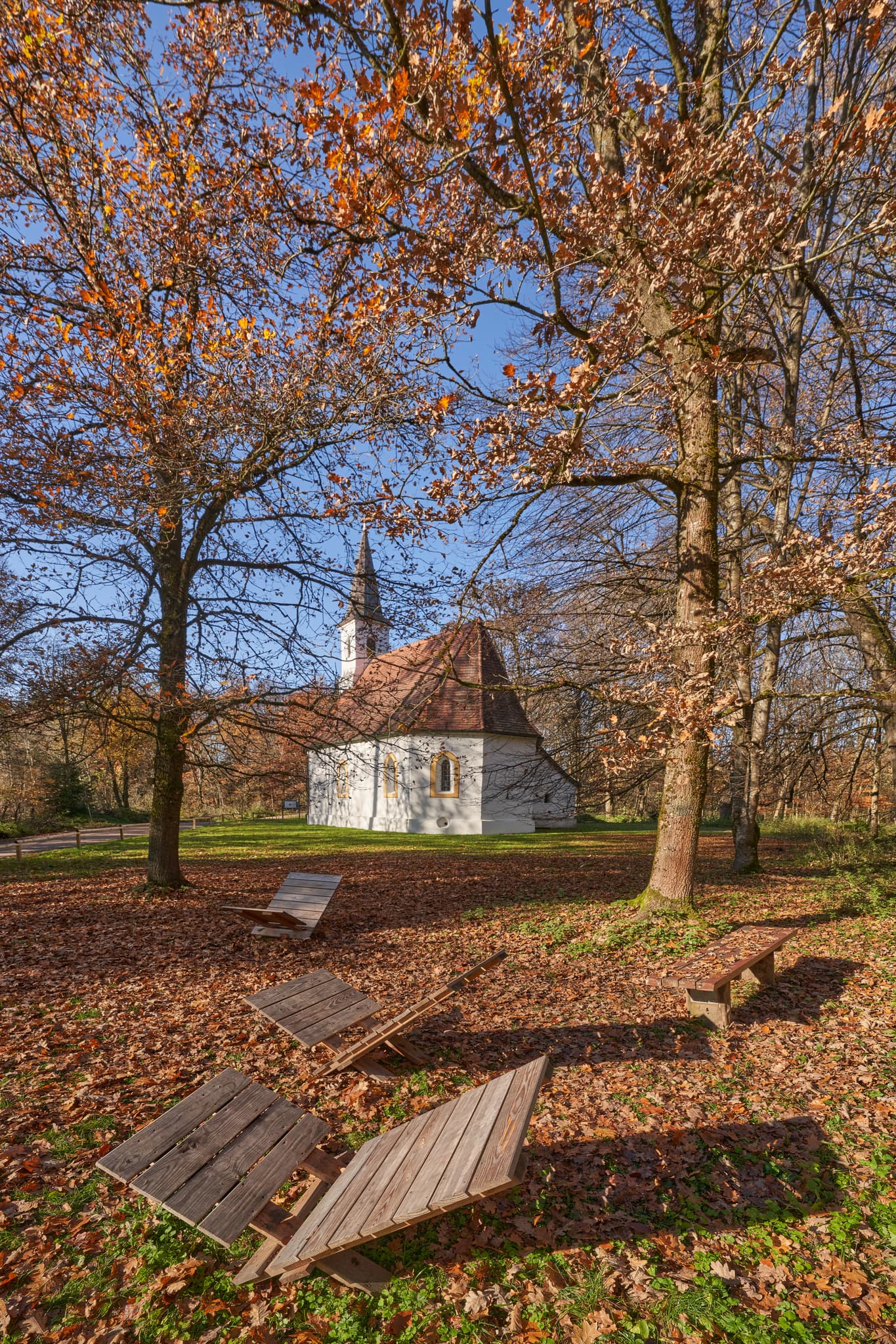 Herbstliches Motiv am Hampersberg in Erharting, Mühldorf am Inn, Oberbayern. Eine friedliche Naturaufnahme im goldenen Licht der Region Inn-Salzach.