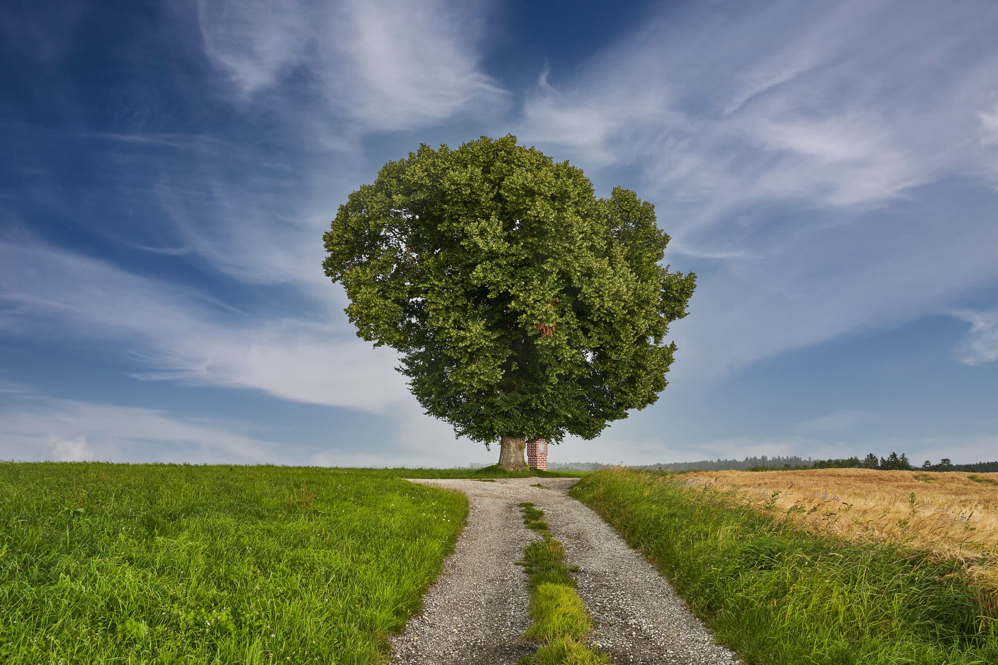 Einzelner Baum und Bildstock auf einem Feld bei Wald bei Winhöring, Pleiskirchen, Landkreis Altötting, Oberbayern, Inn-Salzach, Deutschland.