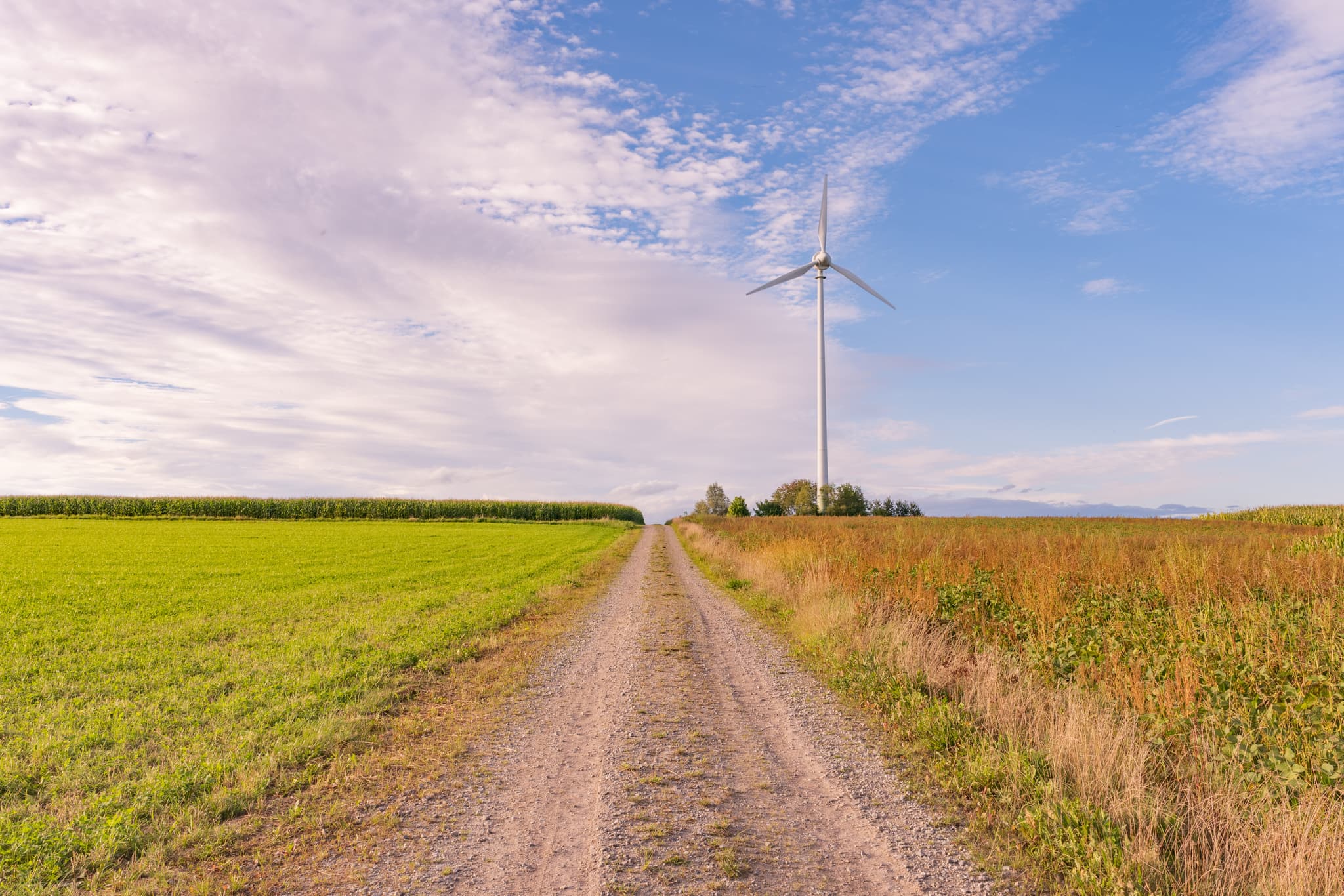 Windpark in Dirnaich, Gemeinde Gangkofen, Landkreis Rottal-Inn, Niederbayern. Ländliche Landschaft mit Feldern, Schotterweg und Windenergieanlage im Holzland.