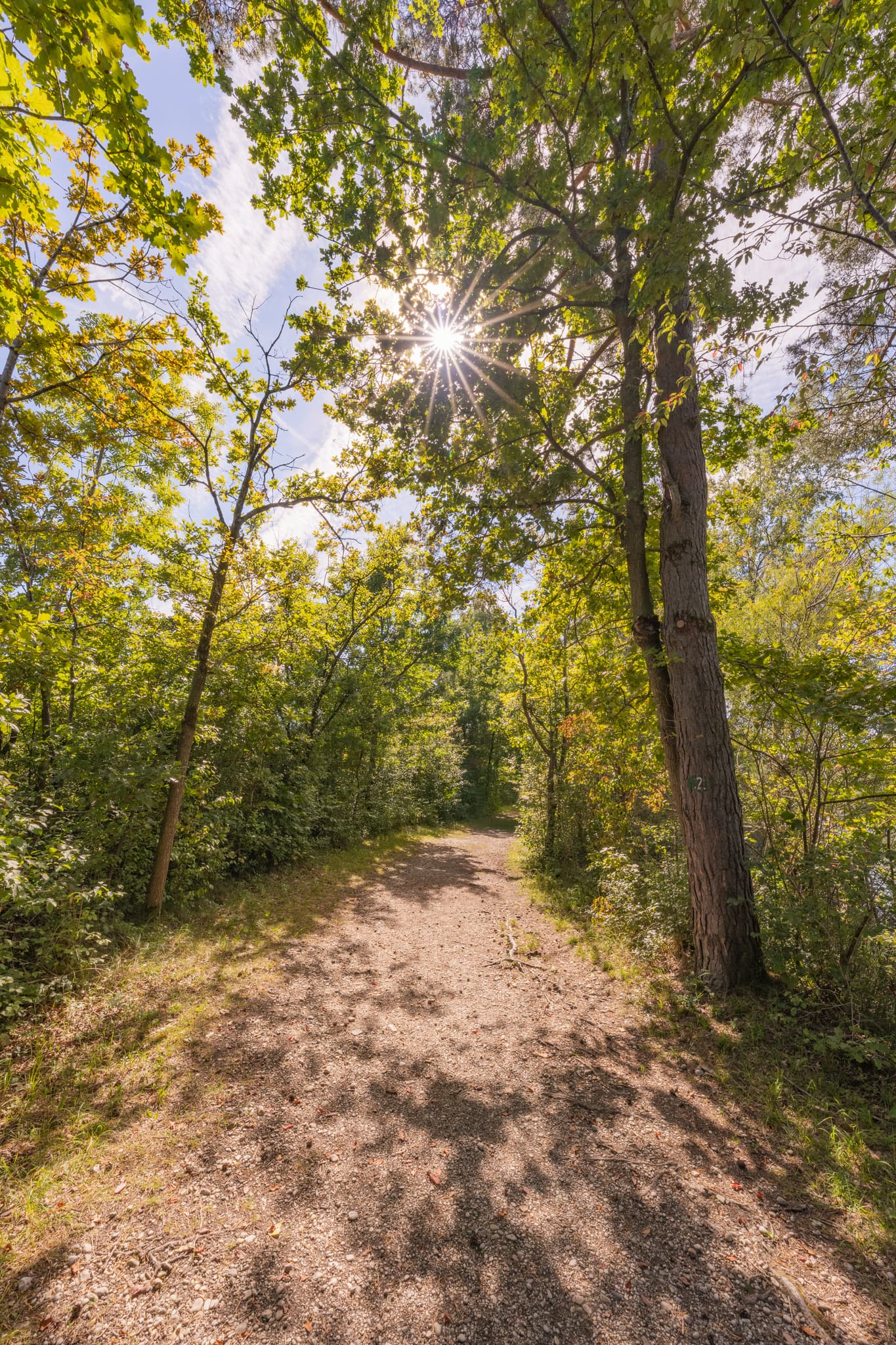 Waldweg mit Sonnenlicht durch Bäume am Waldsee, Kirchdorf am Inn. Landkreis Rottal-Inn, Niederbayern. Typische Naturlandschaft im Holzland, Deutschland.