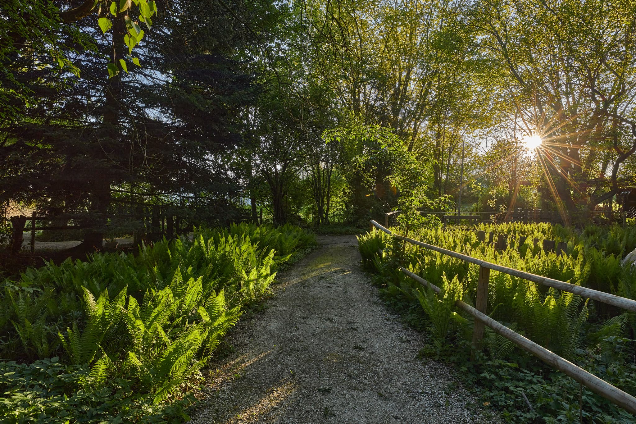 Entdecken Sie den malerischen Wassergarten in Mitterskirchen, Landkreis Rottal-Inn, Niederbayern. Ein idyllischer Weg durch grüne Natur.