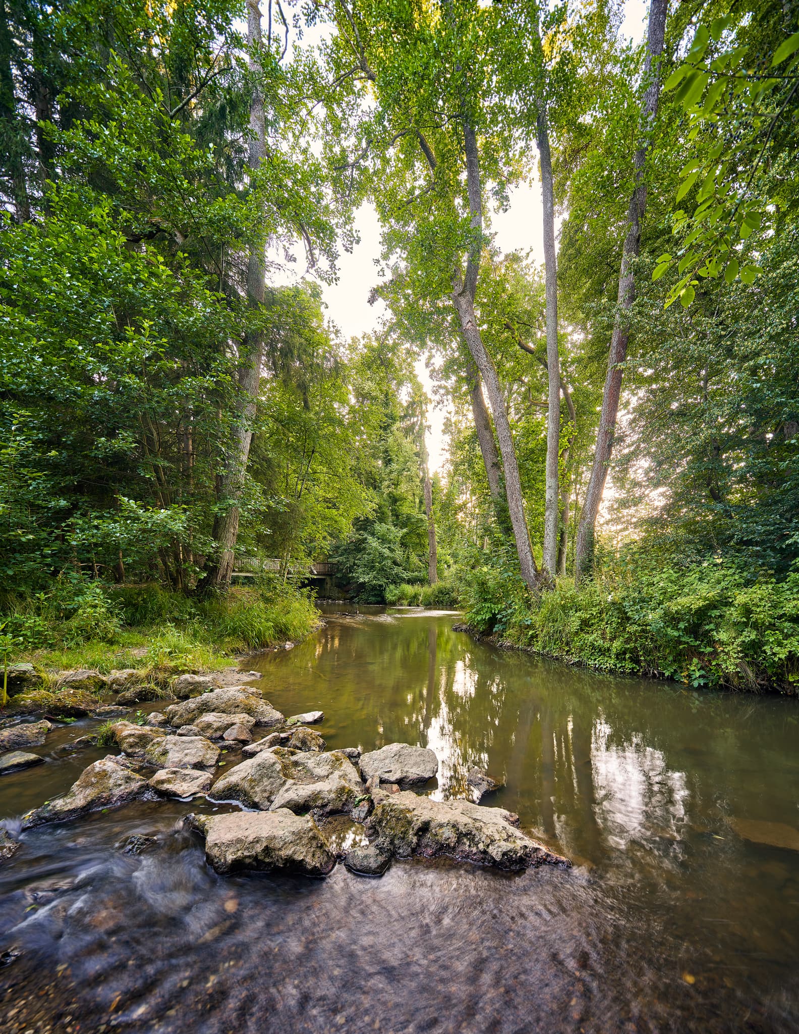 Ruhiger Bachlauf im Lichtlberger Wald in Gern, Eggenfelden, Landkreis Rottal-Inn, Niederbayern. Eine naturnahe Szene in der Region Holzland, Deutschland.