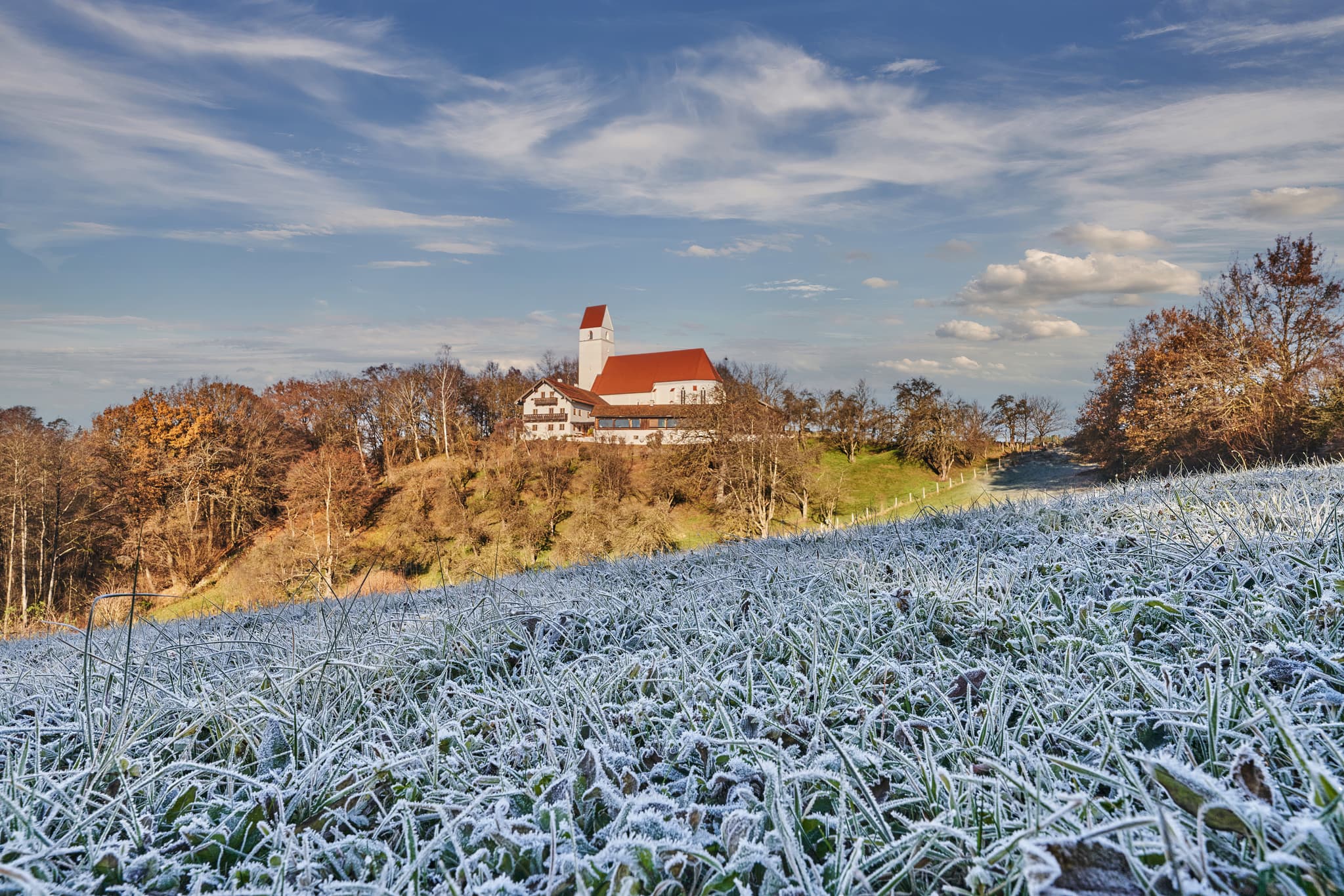 Raureif über Gräsern in Steinhausen, Erlbach, Altötting, Oberbayern, Deutschland. Sonne und Schatten, Wärme und Kälte.