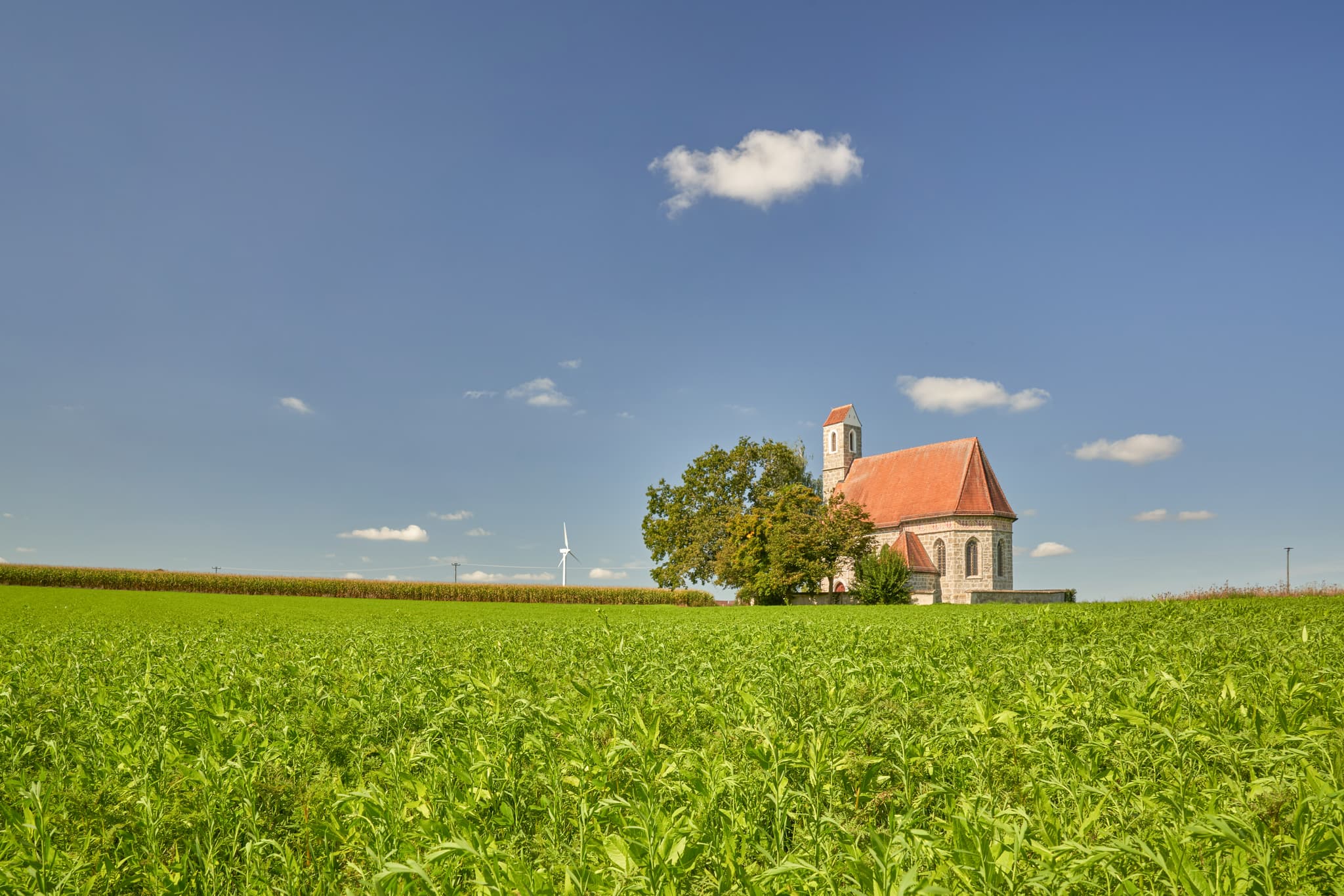 Kirche St. Alban, Peterskirchen, Tacherting, Landkreis Traunstein, Oberbayern. Motiv der Kirche umgeben von Feldern im Chiemgau, Deutschland.
