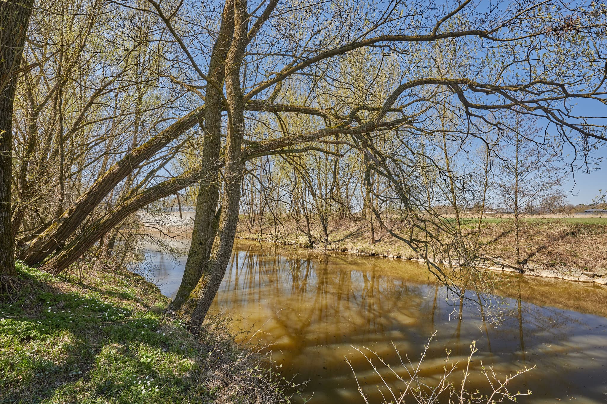 Flusslandschaft an der Rott, Unterdietfurt, im Landkreis Rottal-Inn, Niederbayern. Typische Szenerie des Holzlands in Deutschland mit Uferbäumen und Feldern.