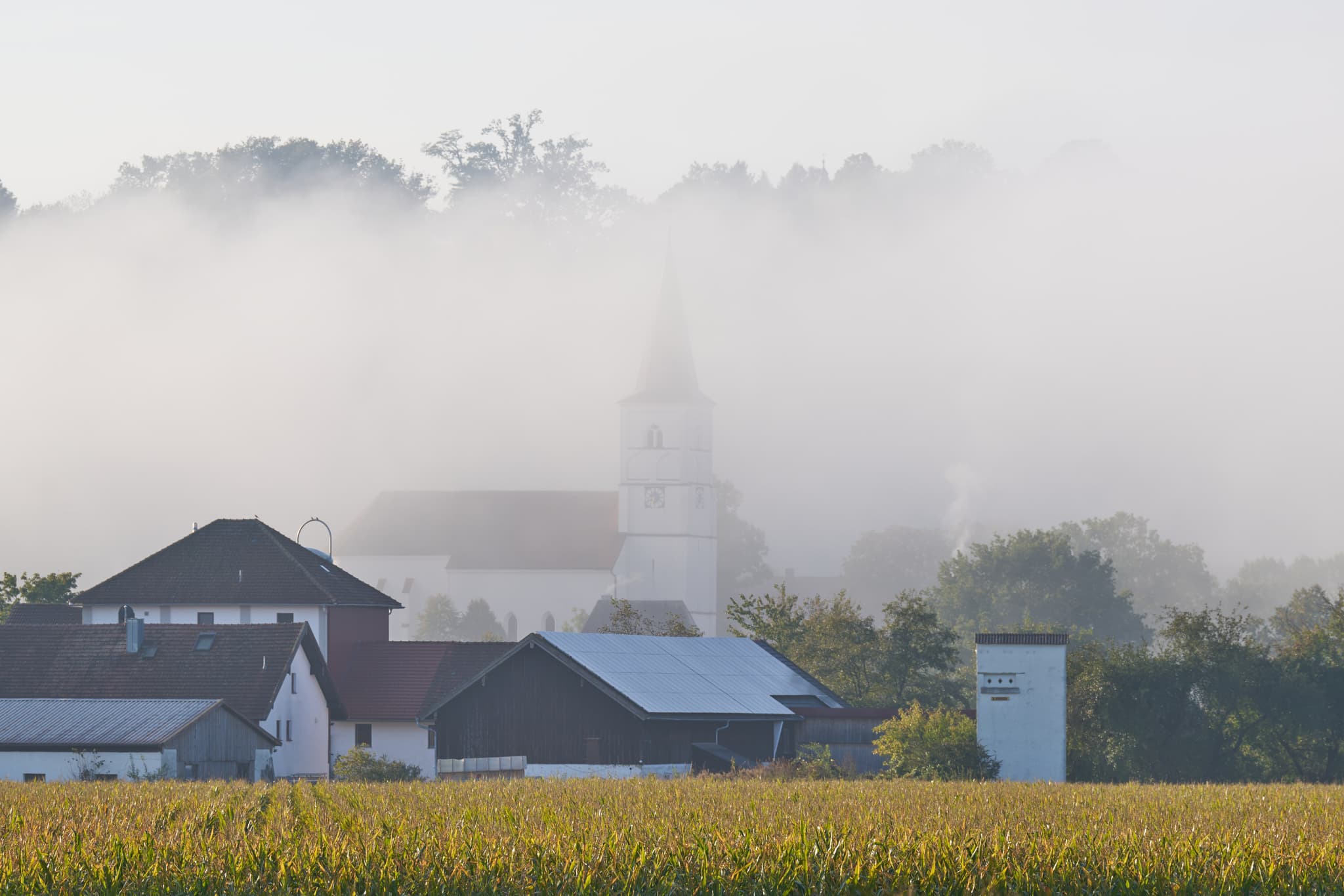 Ansicht einer Kirche in Postmünster, Rottal-Inn, Niederbayern, eingehüllt in dichten Morgennebel. Eine ländliche Szene im Holzland.