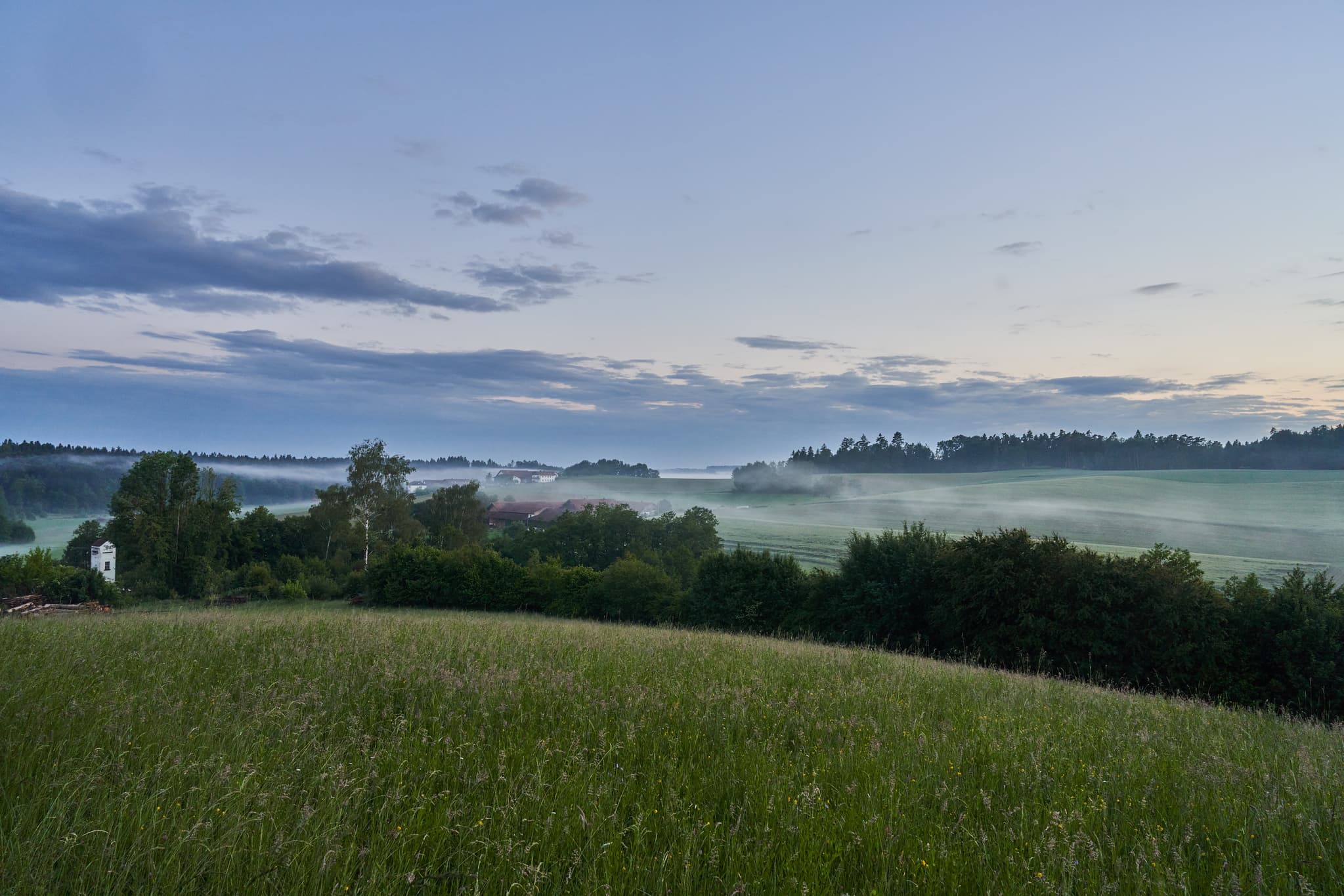 Landschaft am Morgen in Steinhausen, Erlbach, Landkreis Altötting, Oberbayern. Frühnebel bedeckt die Felder. Ein stiller Blick auf die Natur.