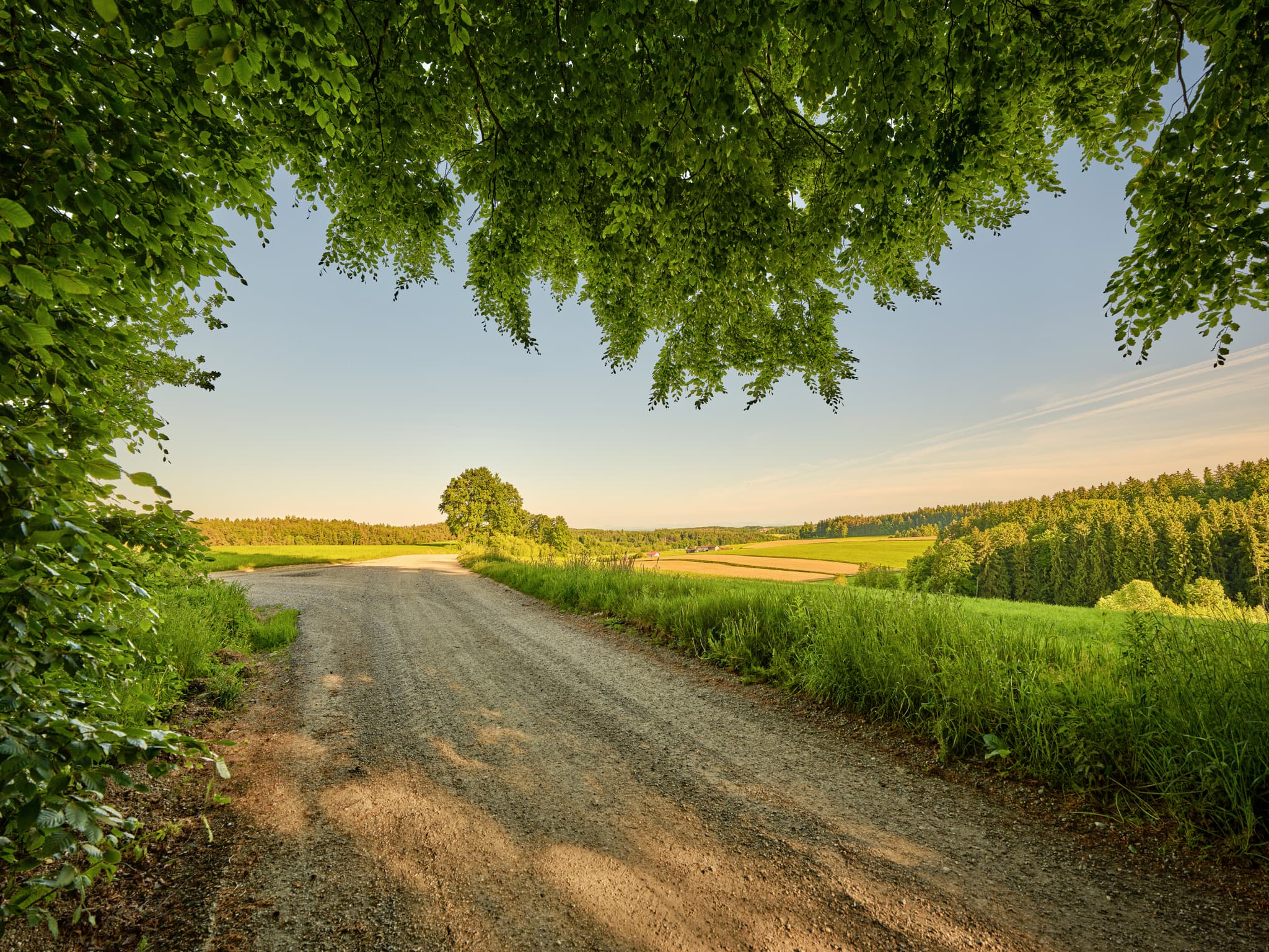 Ein Waldweg führt durch die grüne Landschaft bei Waldberg von Thaler Graben, Reischach, im Landkreis Altötting, Oberbayern, Inn-Salzach-Region in Deutschland.