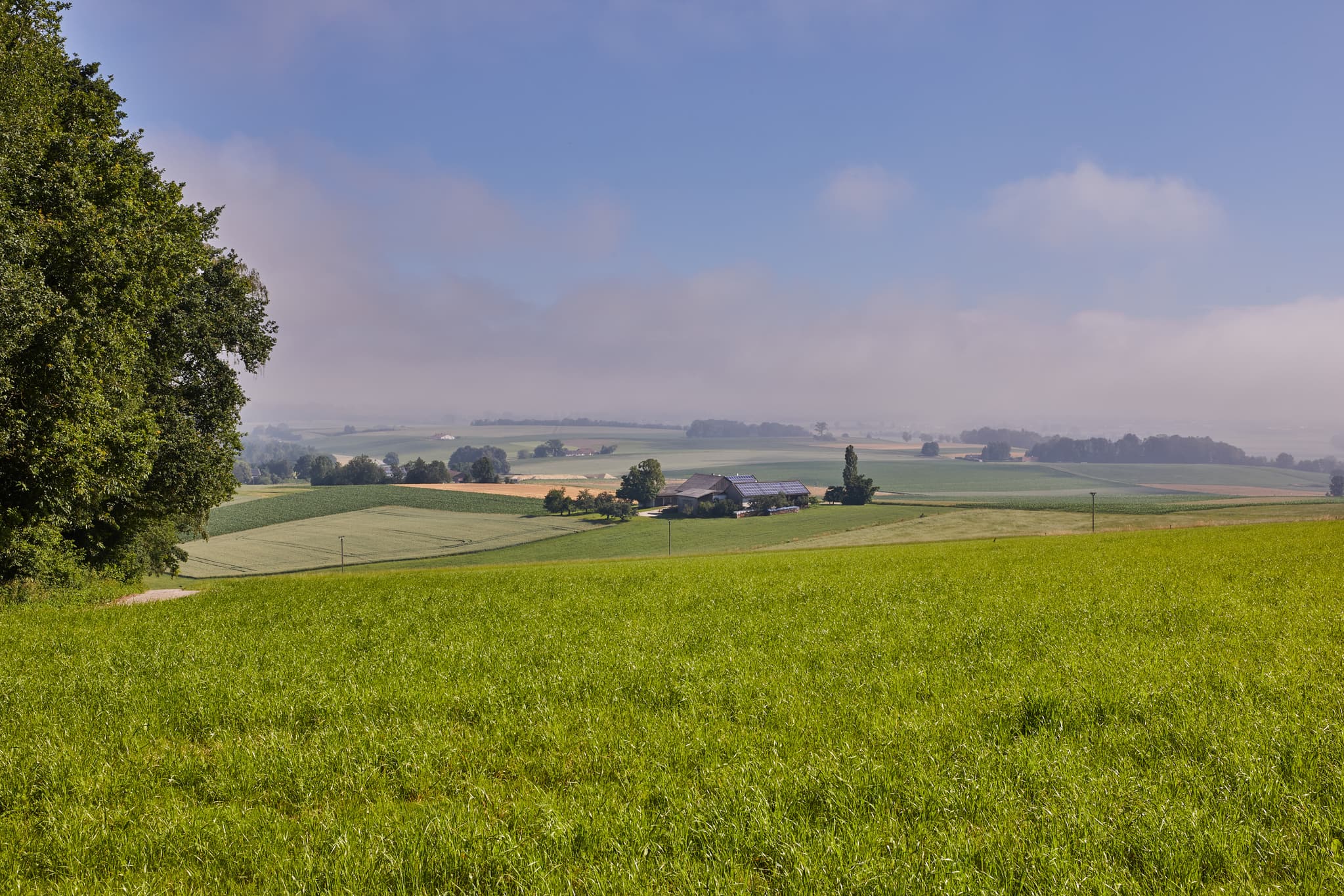 Landschaftsaufnahme von Glatzberg Aussicht in Heldenstein, Mühldorf am Inn, Oberbayern. Felder und Bäume prägen die Inn-Salzach Region in Deutschland.