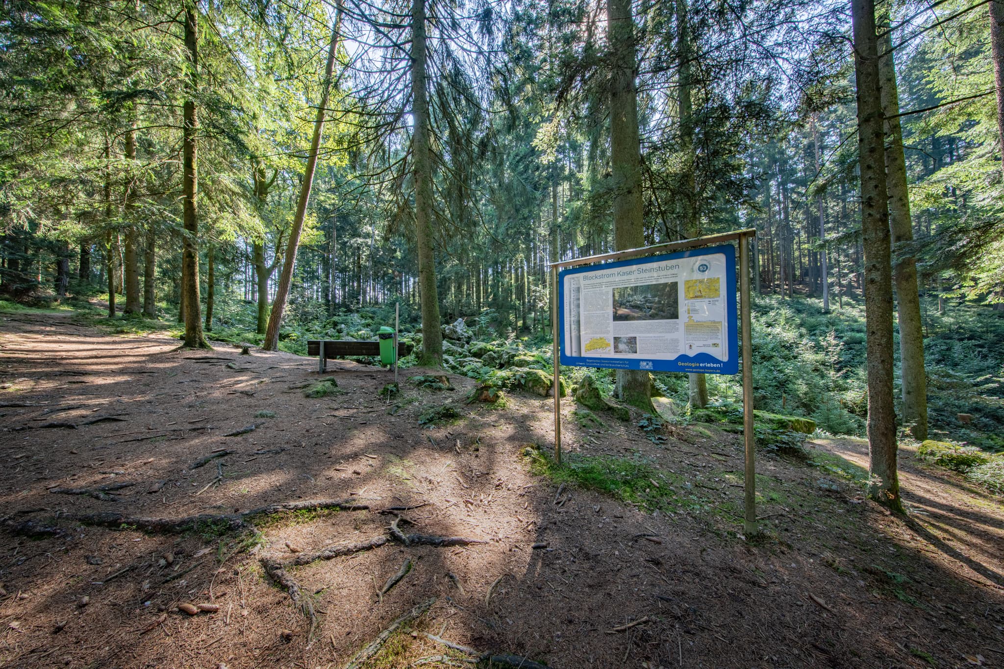 Geotop im Waldgebiet mit großen Geröll-Steinen aus der Eiszeit in Voglarn bei Triftern, Rottal-Inn, Niederbayern, Holzland, Bäderdreieck, Deutschland.