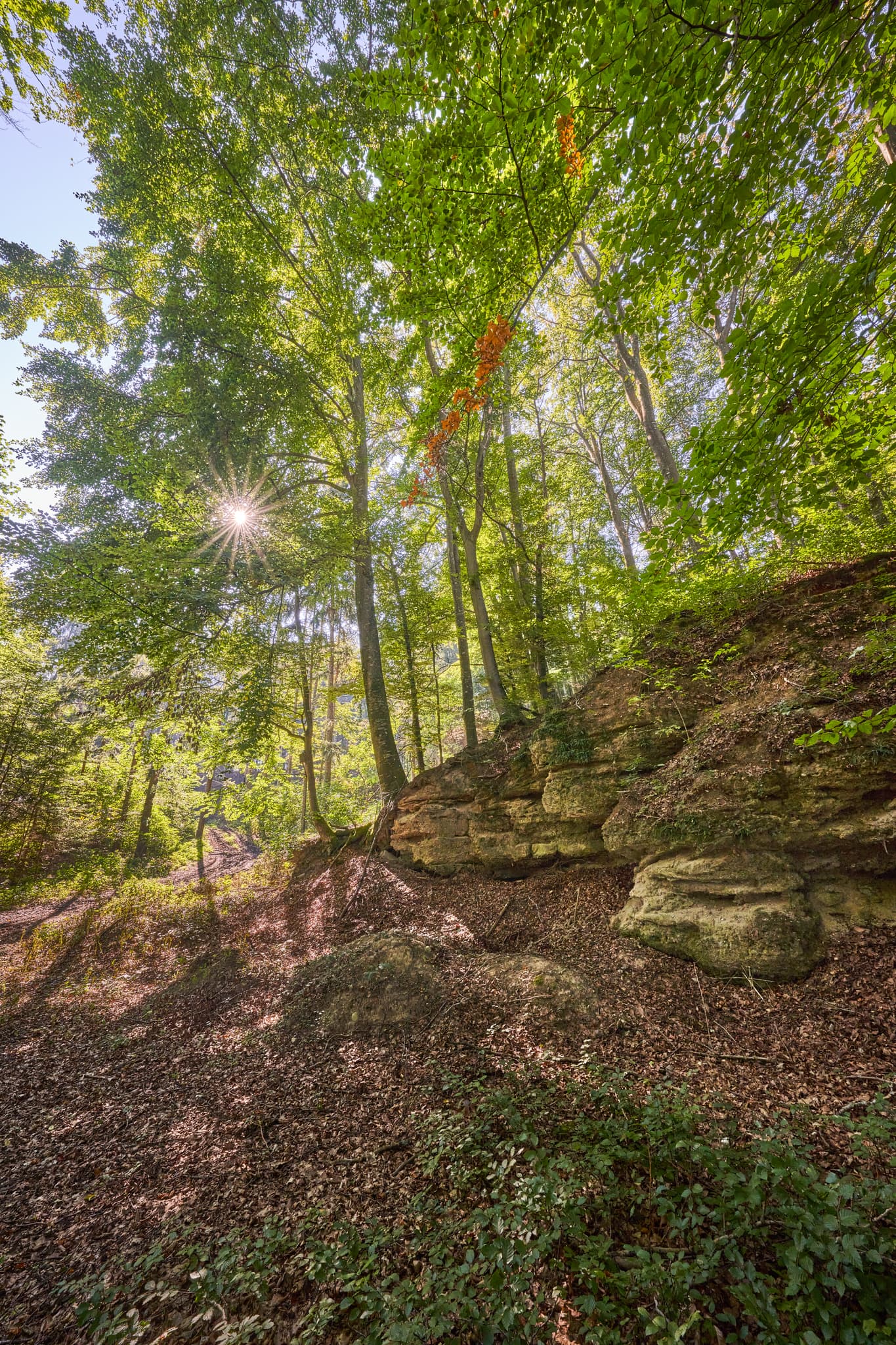 Steinbruch St.-Rupert-Pilgerweg Berger a. Brunn nahe Kastl, Landkreis Altötting, Oberbayern, Inn-Salzach, Deutschland. Waldlandschaft mit Felsen im Sonnenlicht.
