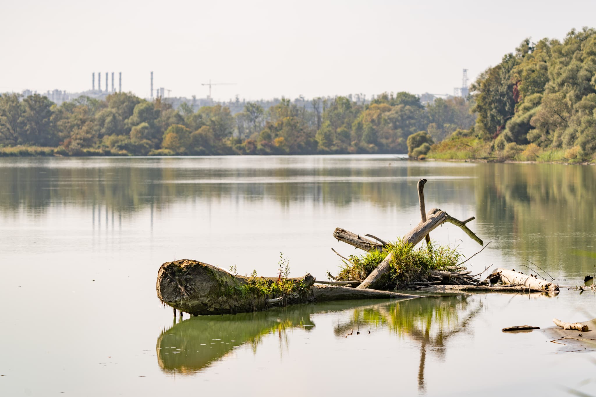 Ruhiger See mit Treibholz bei Innspitz, Haiming. Umgeben von Bäumen, Industrie im Hintergrund. Landkreis Altötting, Oberbayern, Inn-Salzach, Deutschland.