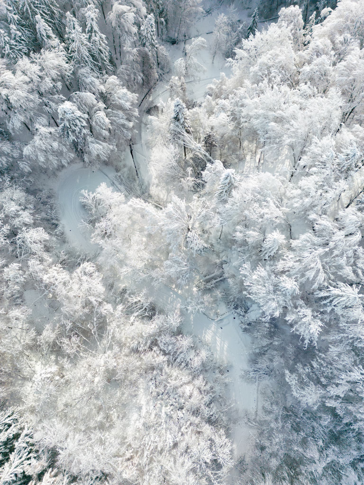 Winterliches Luftbild von Marktl am Inn nach einem Schneebruch am Bruckberg in Oberbayern, Inn-Salzach Region, Deutschland. Eindrucksvolle Schneelandschaft.