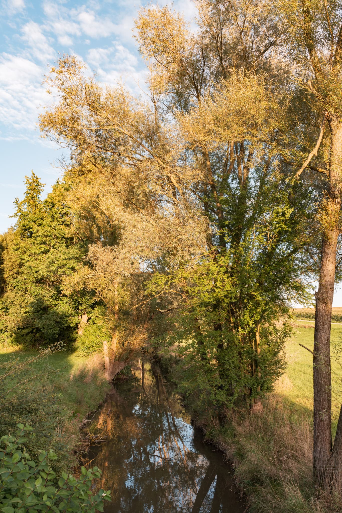 Bachlauf bei Dirnaich Bina von Brücke Kirche in Gangkofen, Rottal-Inn, Niederbayern, Deutschland. Grüne Ufer und Bäume prägen die Landschaft im Holzland.