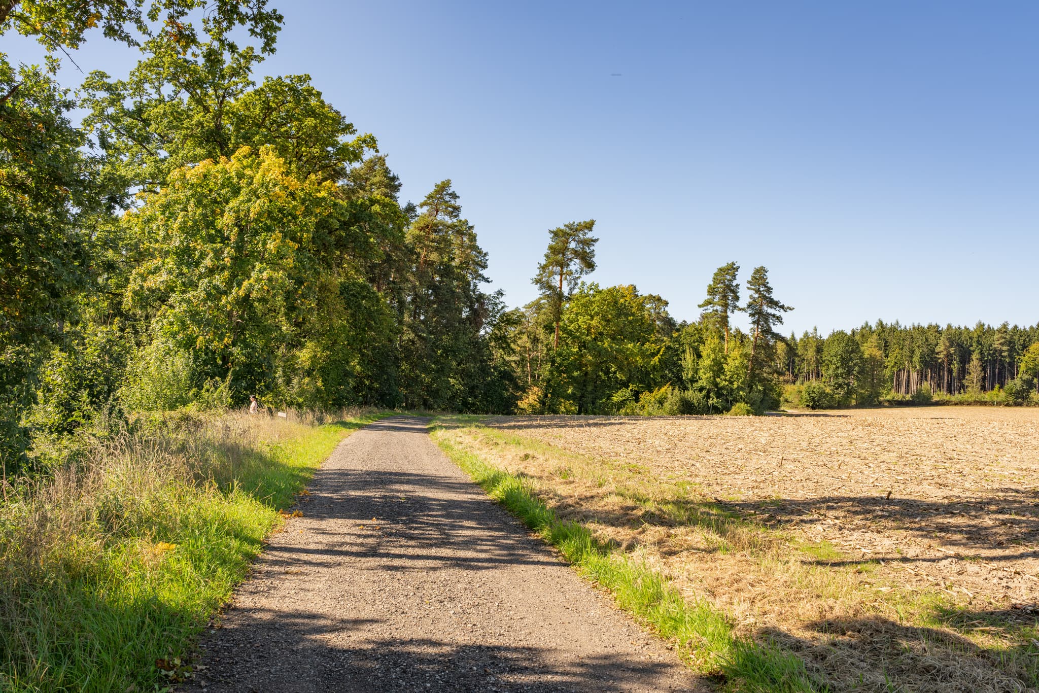 Guteneck nach Lapperding, Johanniskirchen, Rottal-Inn, Niederbayern. Feldweg zwischen Wald und abgeerntetem Feld im Holzland, Deutschland. Sonnige Szene.