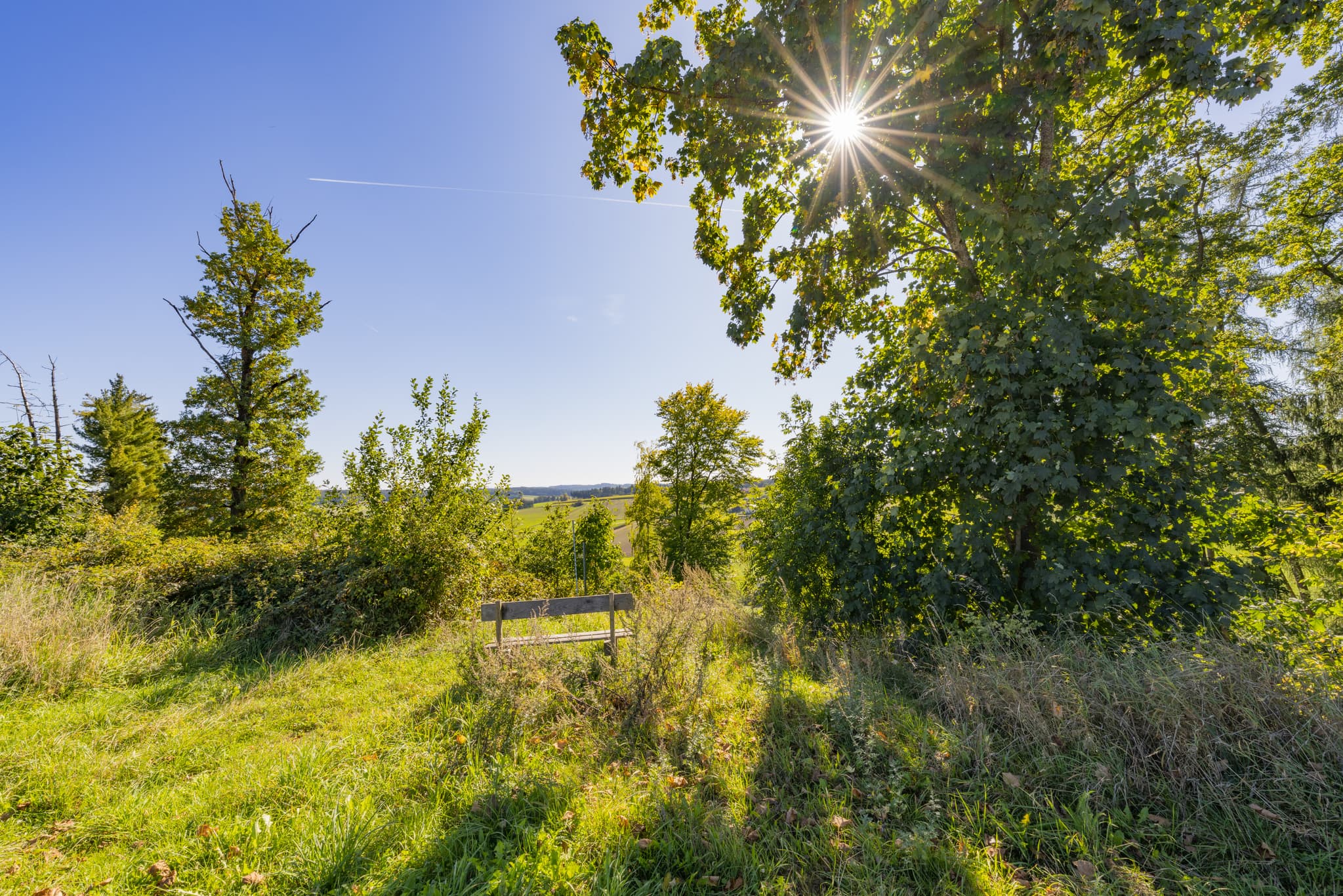 Landschaft mit Rastbank am Wanderweg 2 bei Guteneck, Johanniskirchen, Rottal-Inn, Niederbayern, Bäderdreieck in Deutschland bietet grüne Hügel und Erholung.