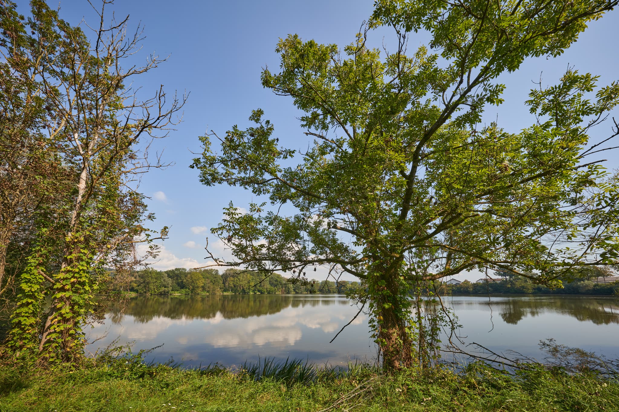 Ein ruhiger Stauweiher inmitten der Natur bei Winhöring im Landkreis Altötting, Oberbayern. Eine malerische Landschaft in der Region Inn-Salzach, Deutschland.