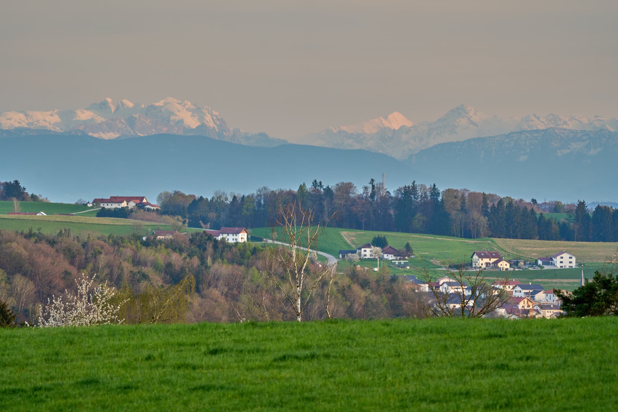 Panoramablick über hügelige Landschaft nach Aushofen, Reischach, Landkreis Altötting, Oberbayern. Alpen am Horizont. Inn-Salzach Region, Deutschland.