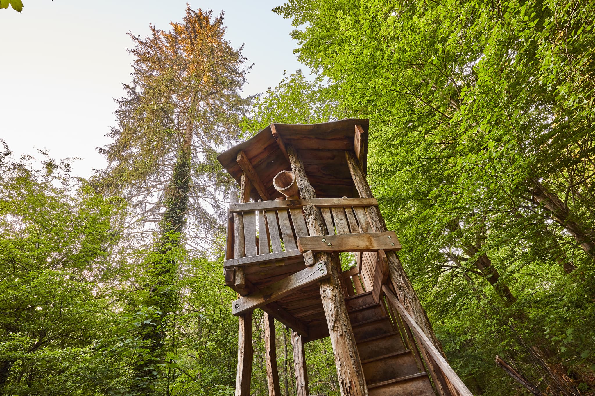 Holzstruktur am Walderlebnispfad Alz Au, Mehring, Landkreis Altötting, Oberbayern. Waldlandschaft in der Region Inn-Salzach, Deutschland.