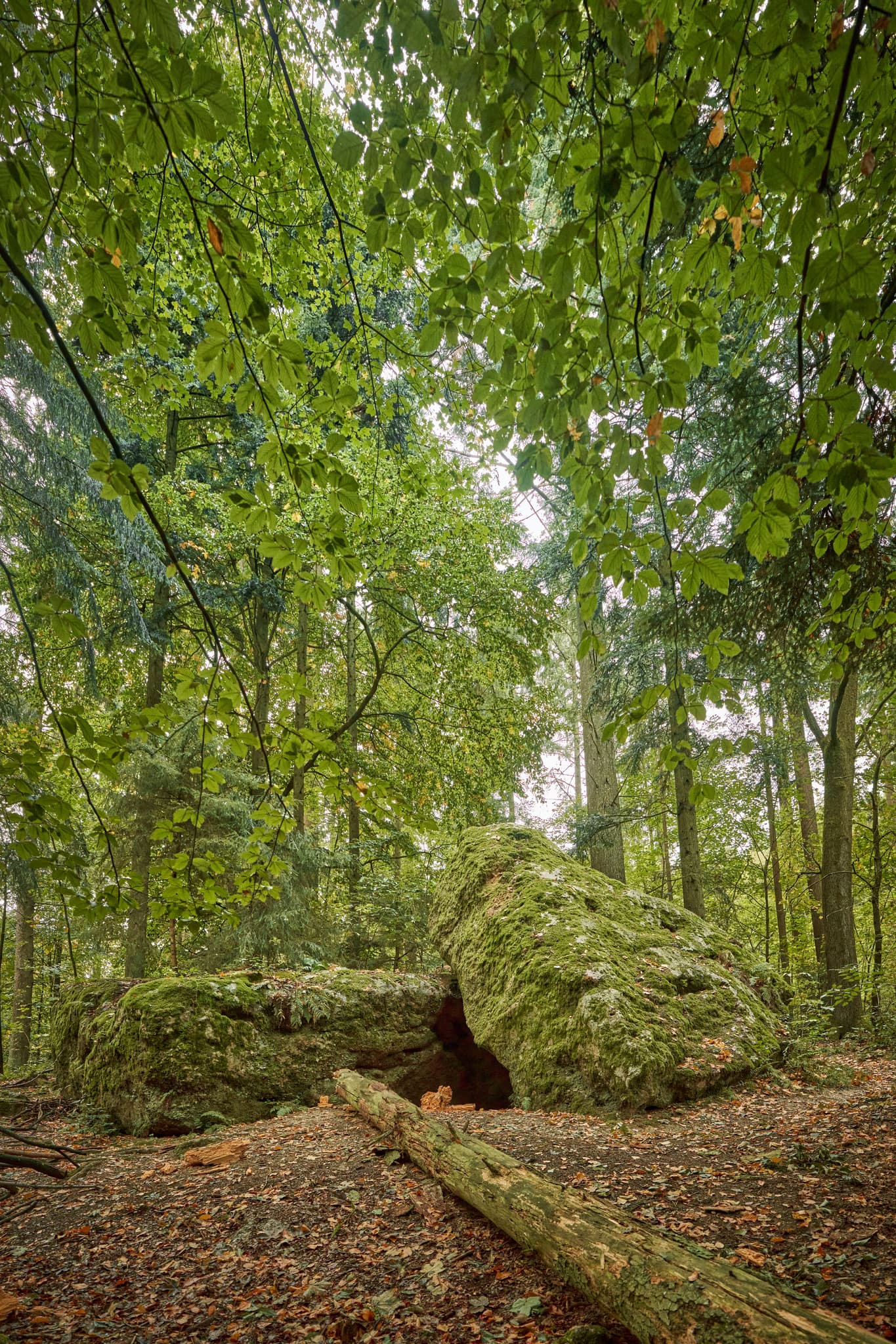 Teufelsstein in Bad Griesbach, Landkreis Passau, Niederbayern, Bayern, Deutschland. Das Bild zeigt Details der Felsstrukturen mit Farbreste.