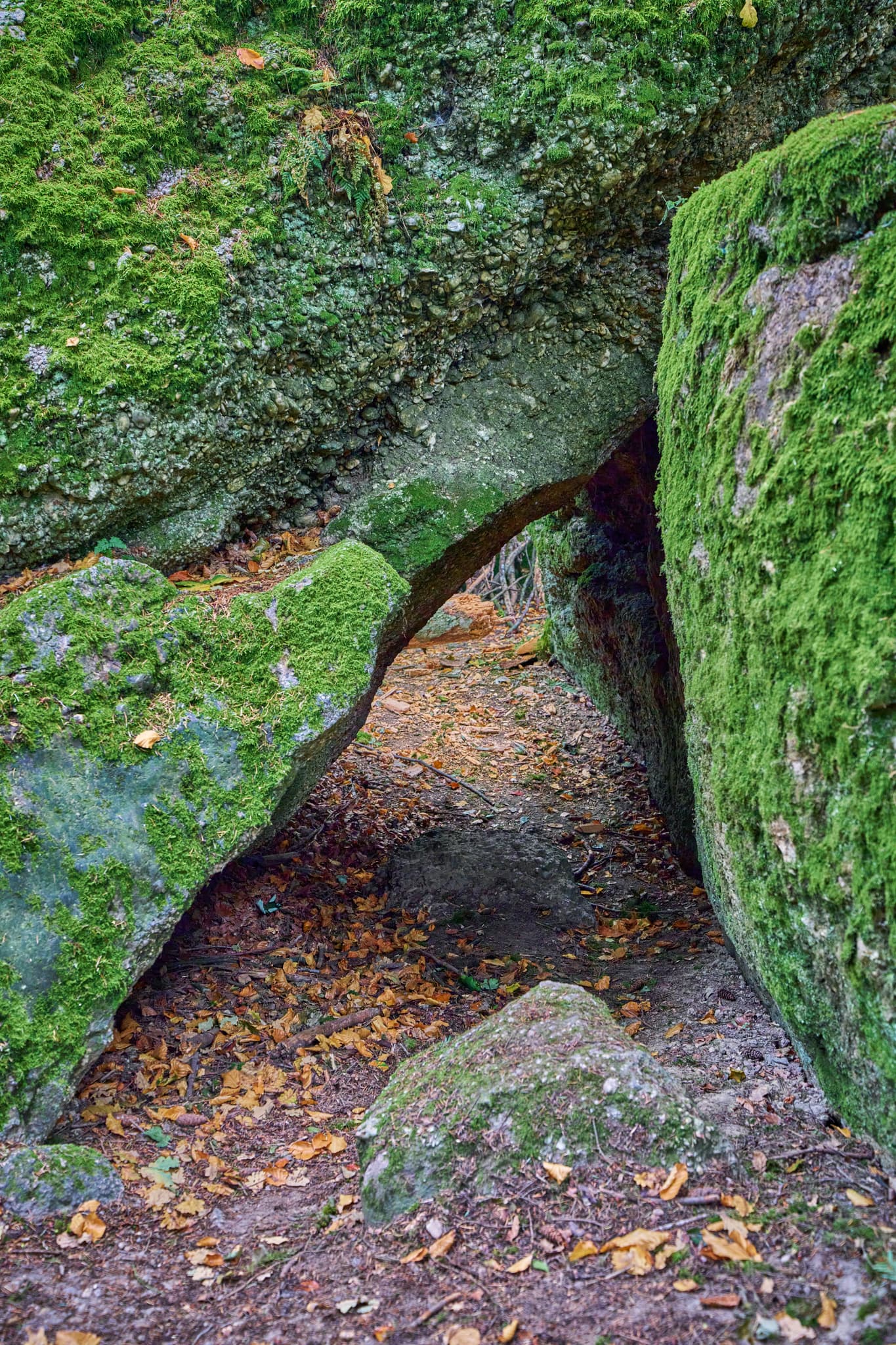 Teufelsstein in Bad Griesbach, Landkreis Passau, Niederbayern, Bayern, Deutschland. Das Bild zeigt Details der Felsstrukturen mit Farbreste.