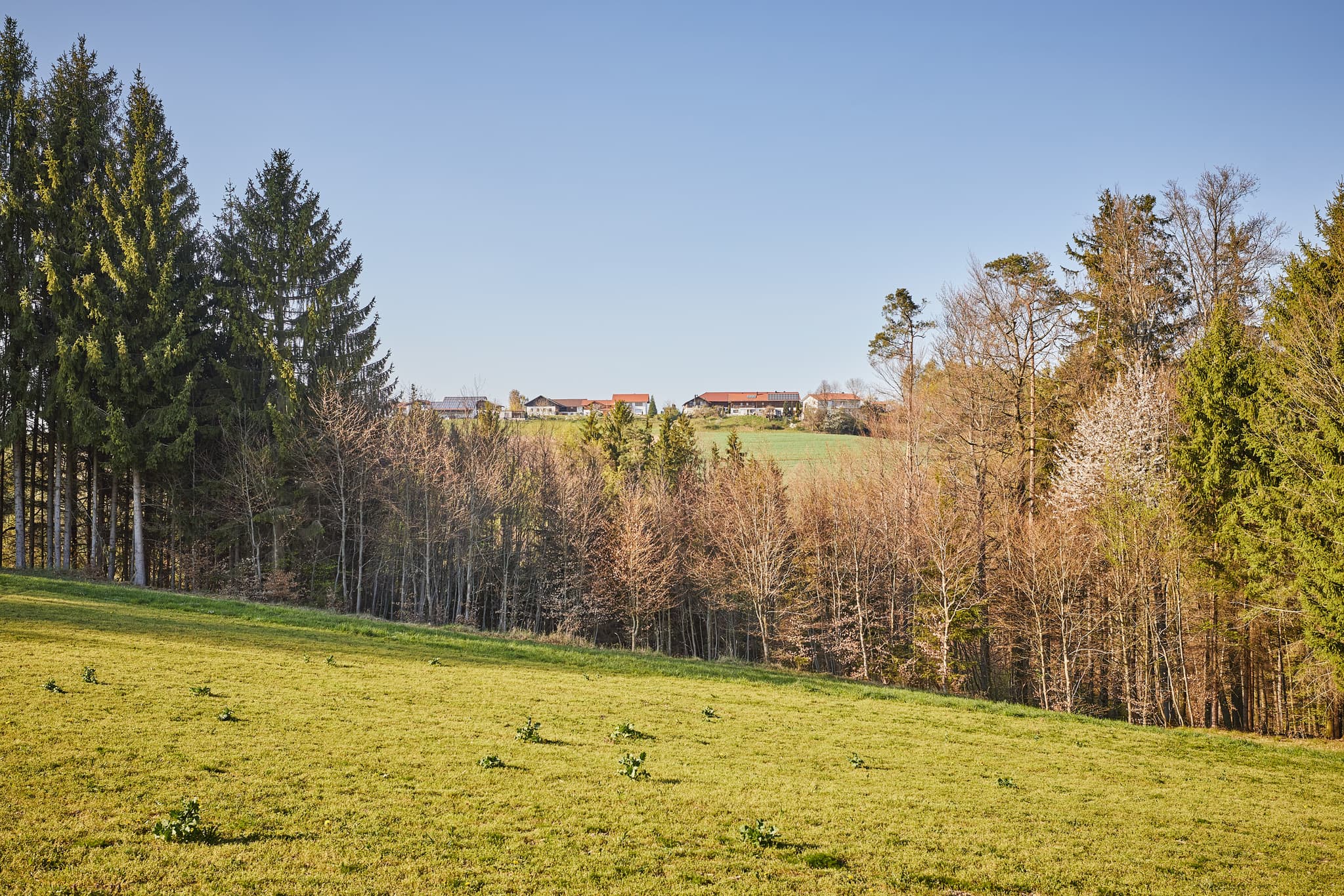 Landschaftsaufnahme von Berg, Hasenberg, Perach, im Landkreis Altötting, Oberbayern. Grüne Wiesen und bewaldete Hänge in der Region Inn-Salzach, Deutschland.
