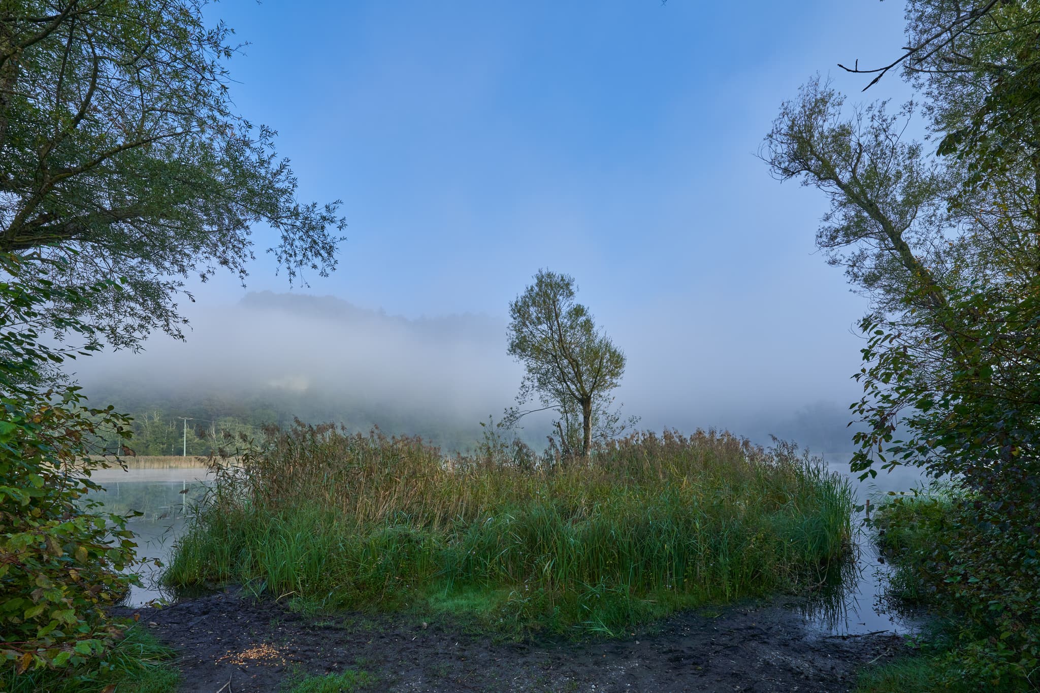 Naturfotografie vom Altwasser Inn bei Marktl am Inn in Oberbayern, Deutschland. Die Inn-Salzach-Region zeigt sich von ihrer schönsten Seite.