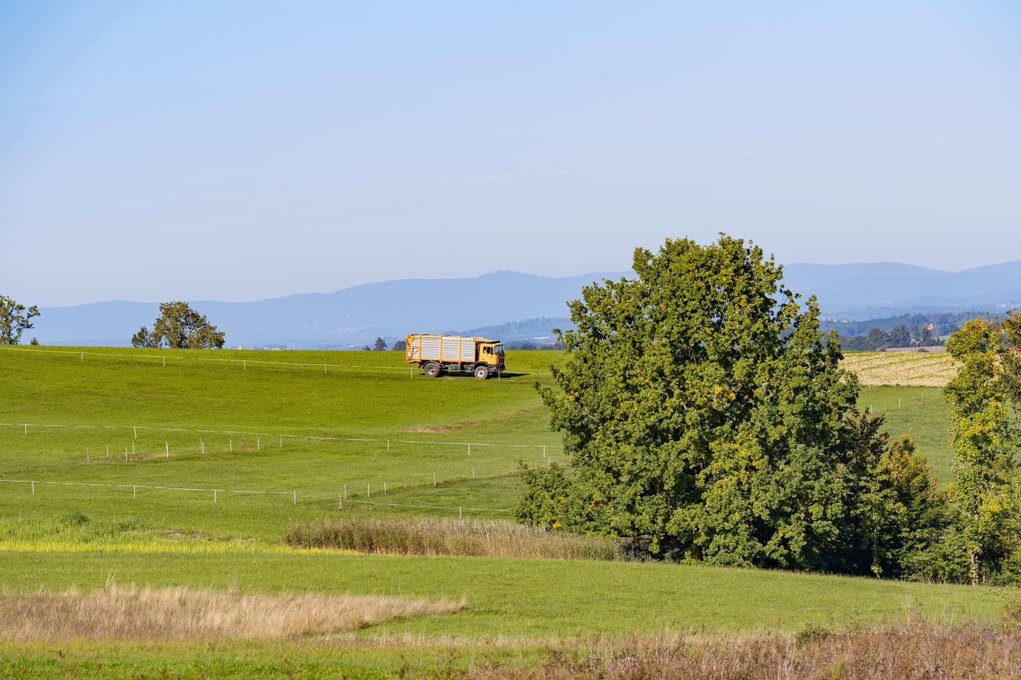Baumgarten, Mais, Dietersburg, Rottal-Inn, Niederbayern, Deutschland. Weite grüne Hügellandschaft im Holzland mit Blick in den Bayerischen WAld.