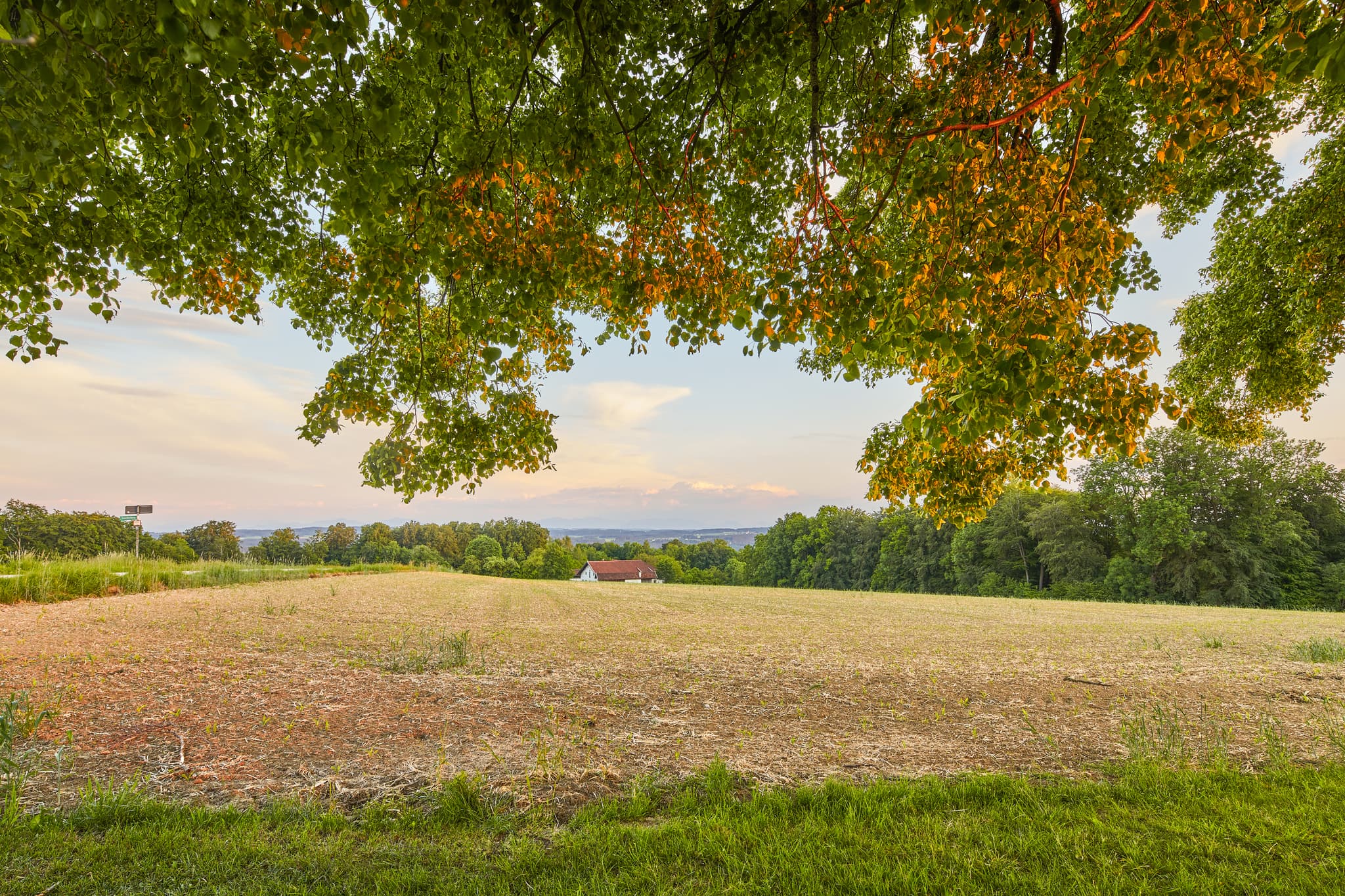 Panoramaaussicht von Winterberg, Gars am Inn, Mühldorf am Inn, Oberbayern. Bildstock mit Baum über weite Felder der Inn-Salzach-Region in Deutschland.