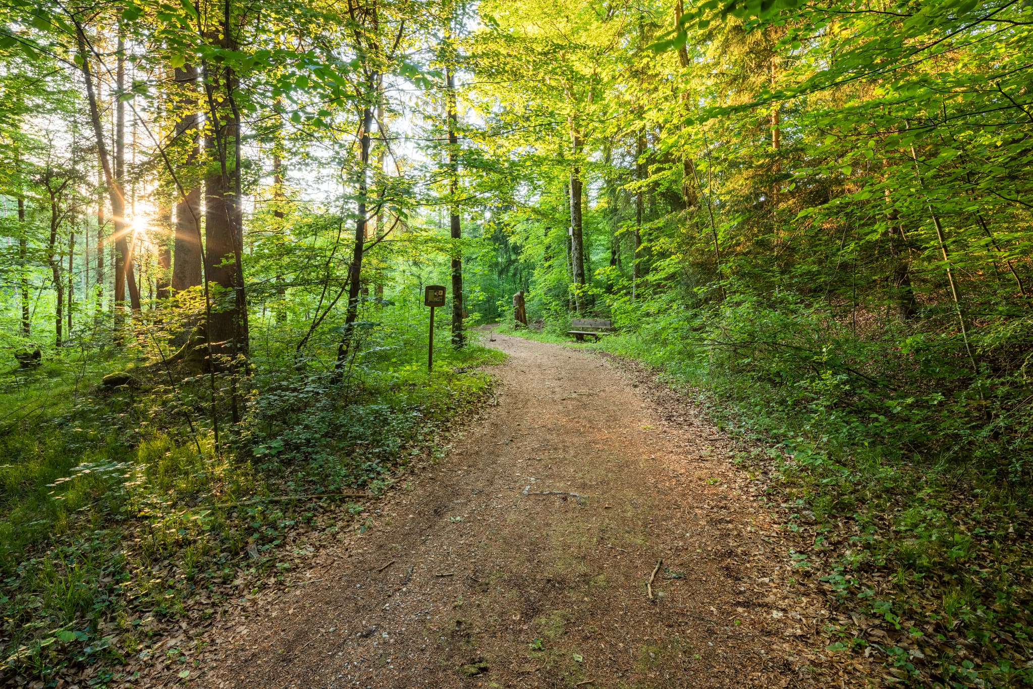 Walderlebnispfad entlang der Alz und Au bei Mehring, Klosterau Walderlebnispfad. Naturerlebnis im Landkreis Altötting, Oberbayern, Inn-Salzach, Deutschland.