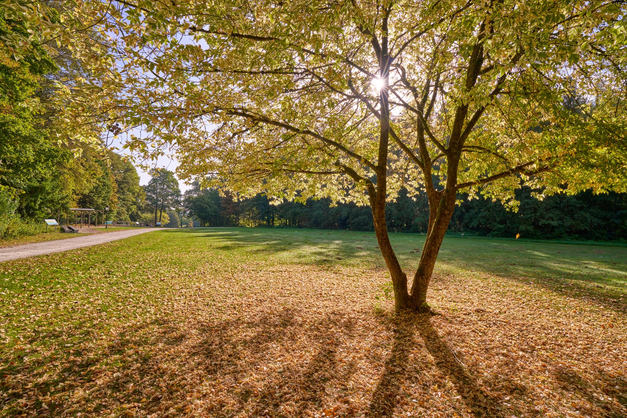 Herbstliche Idylle im Kurpark Bad Griesbach, Passau, Niederbayern. Laub und Sonnenstrahlen prägen die malerische Szenerie im Bäderdreieck.