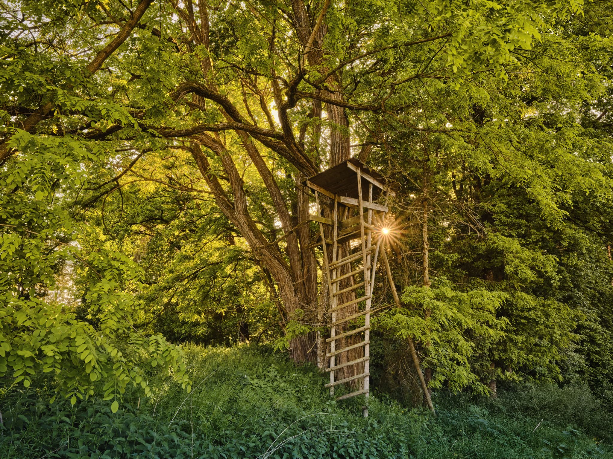 Hochsitz in grüner Landschaft bei Reiter, Schächnerhof Waldberger Str., Erlbach, Landkreis Altötting, Oberbayern. Inn-Salzach Region, Deutschland.