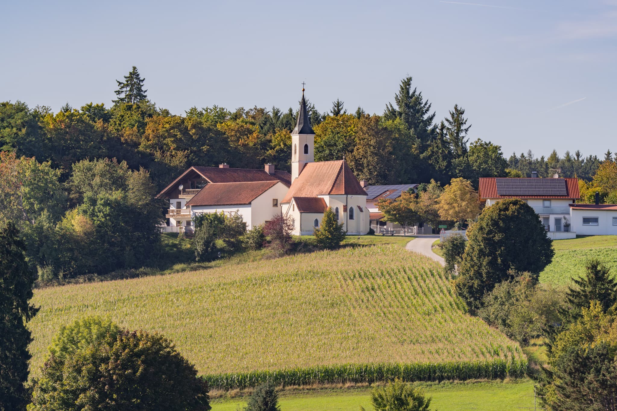 Blick von Schwaigeröd auf Guteneck,  Johanniskirchen, Rottal-Inn, Niederbayern, Deutschland. Kirche und Häuser sind von Feldern umgeben, Holzland.