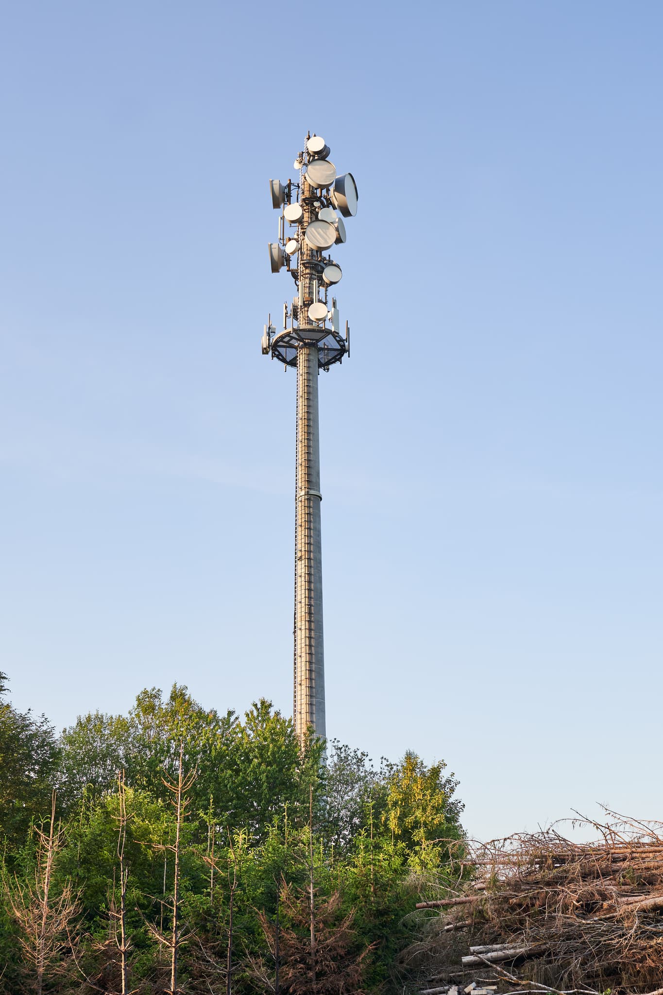 Funkmasten in Hinteralbing, Niedertaufkirchen, Mühldorf am Inn, Oberbayern, Deutschland. Die Inn-Salzach Region. Mast, Bäume, Holzstapel, blauer Himmel.